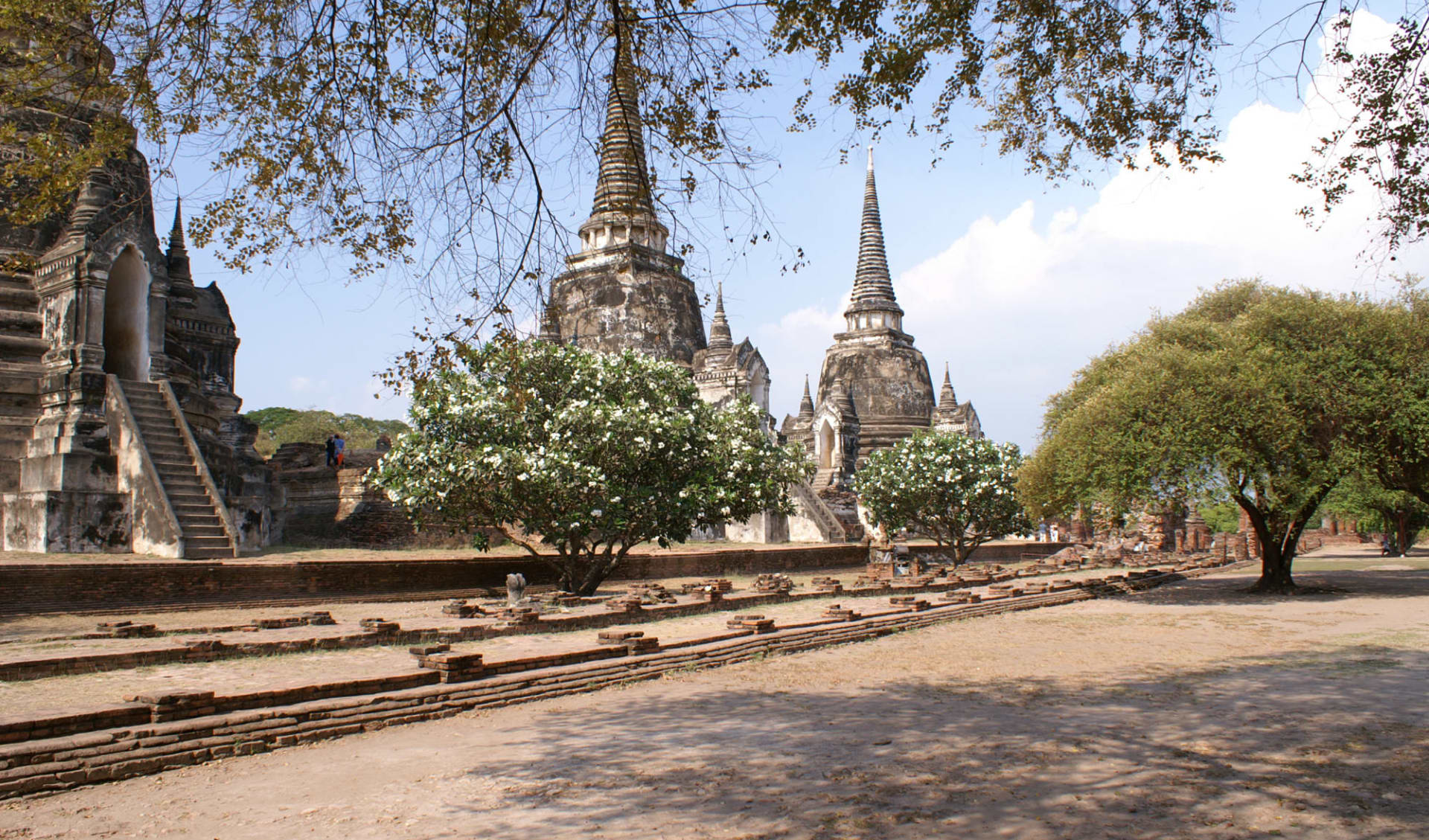 Natur & Kultur rund um Bangkok: Ayutthaya: