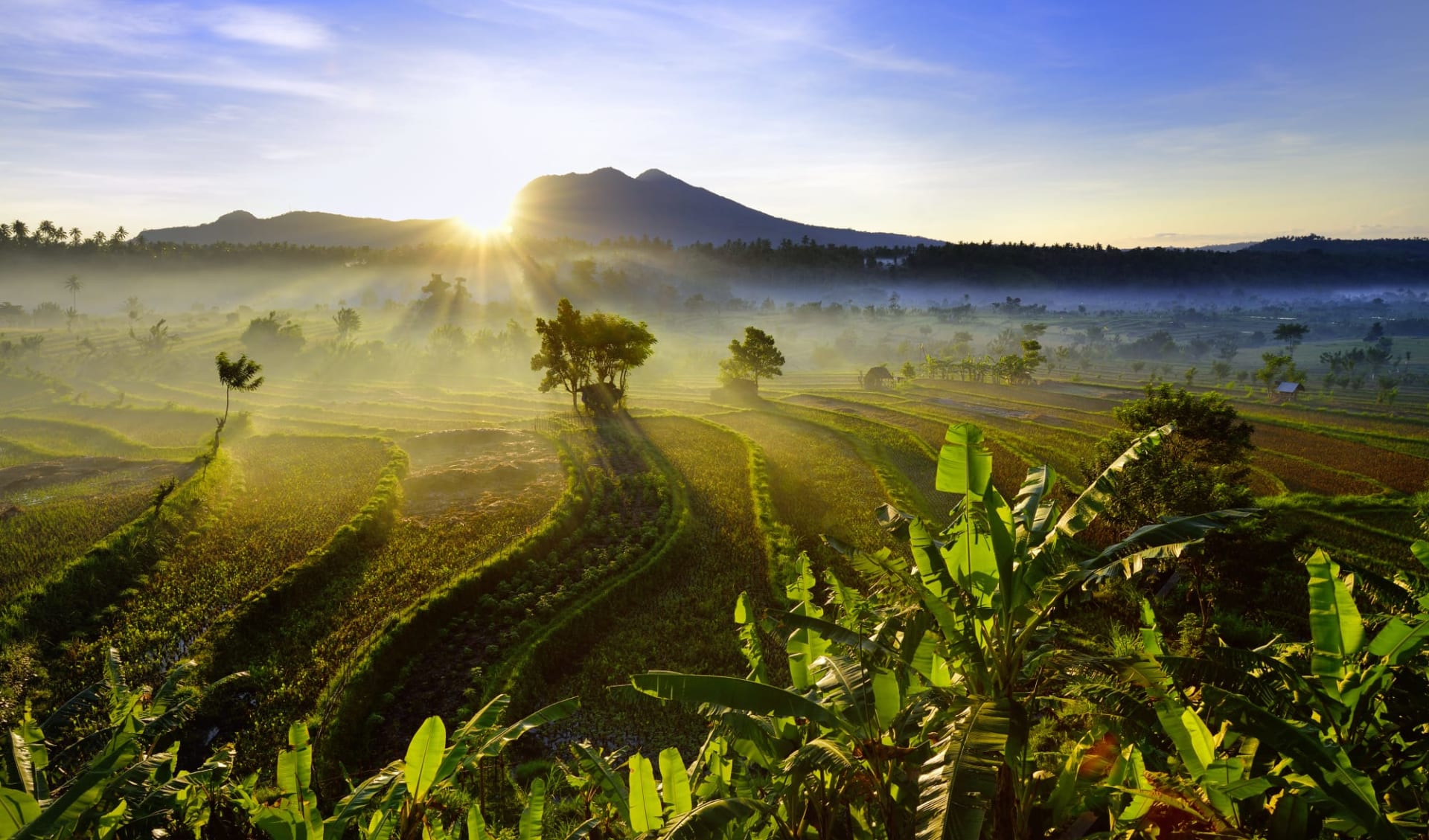 Erlebnisreiches Bali ab Südbali: Bali rice fields East Bali