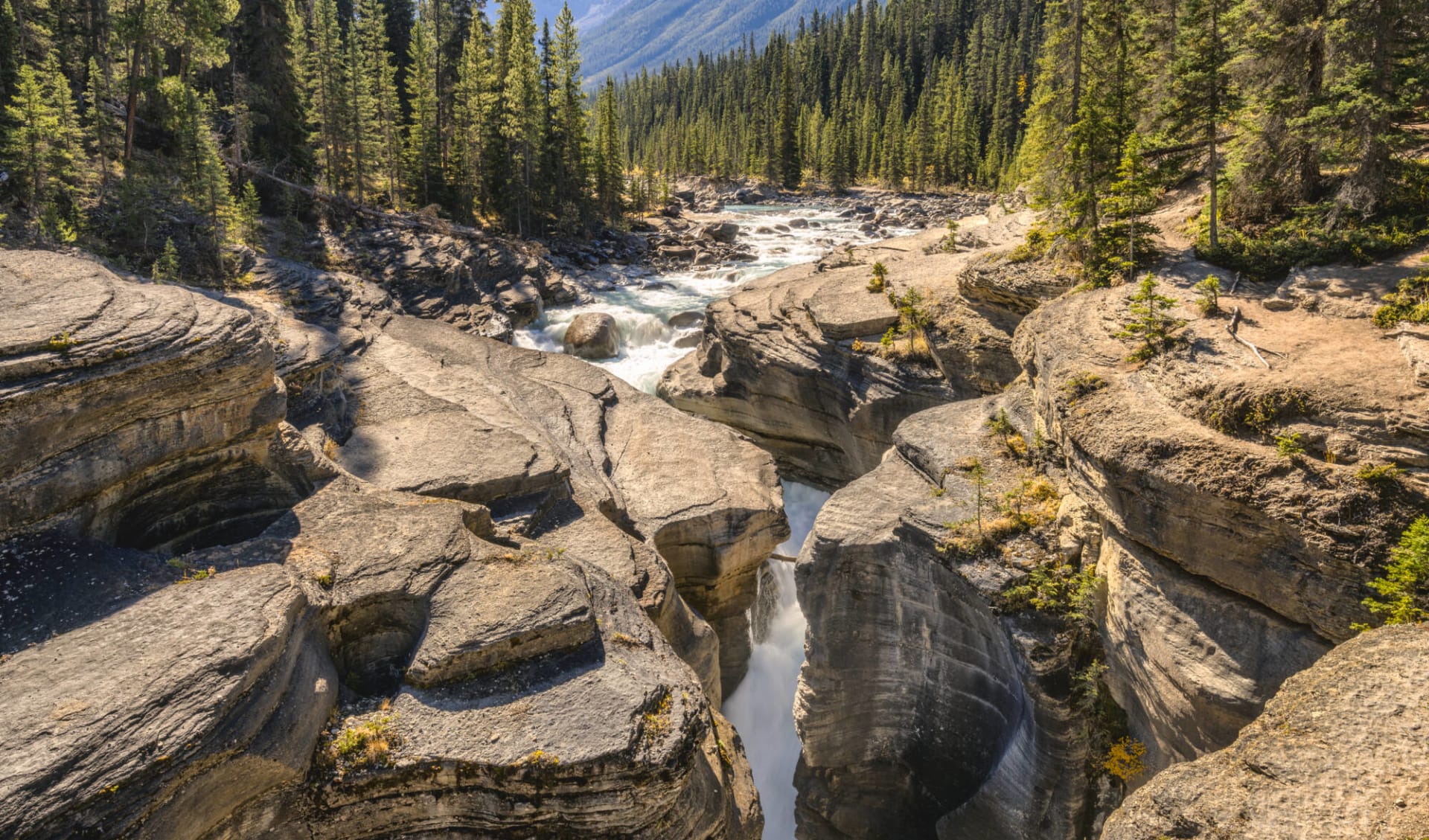 Together but not alone in Westkanada ab Vancouver: BanffNP_MstayaCanyon_Kanada_