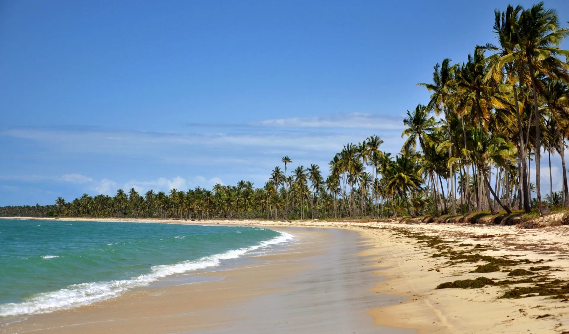 Kijongo Bay Beach Resort in Pangani: 