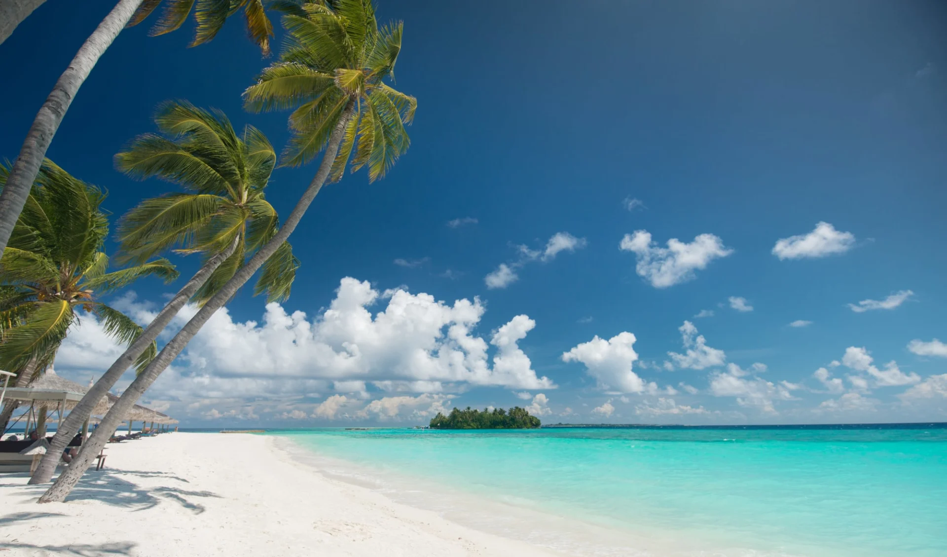 Veligandu Maldives Resort Island in Rasdhoo-Atoll: beach: