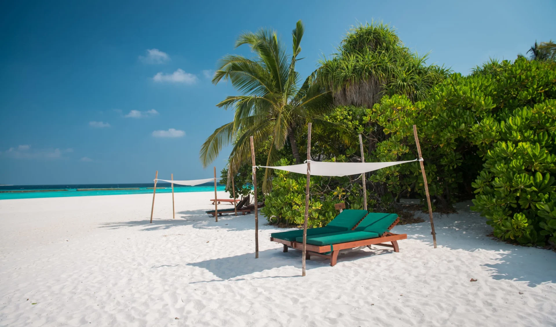 Coco Palm Dhuni Kolhu in Baa-Atoll: beach: