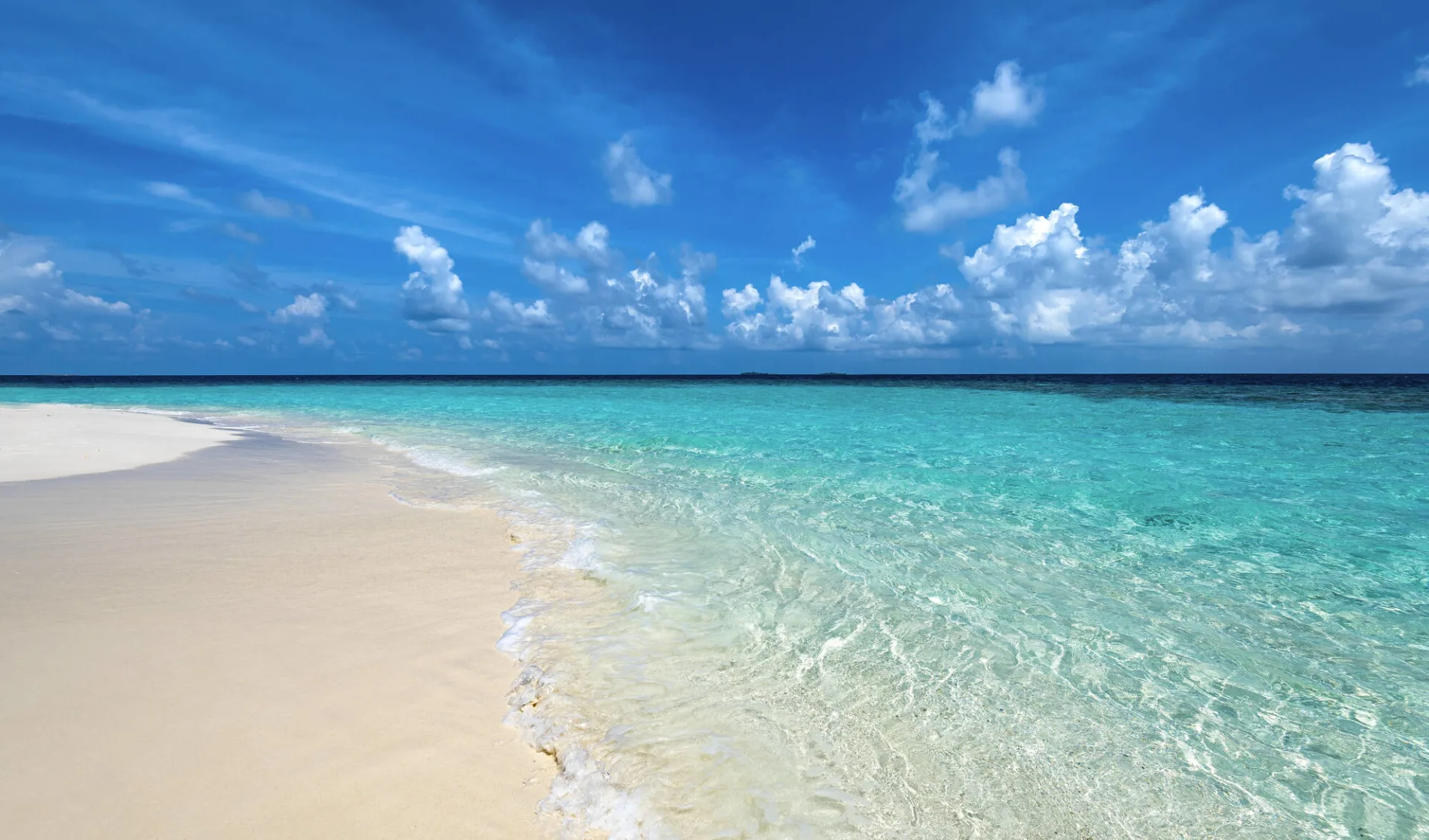 Sandies Bathala Maldives in Ari-Atoll: beach: 