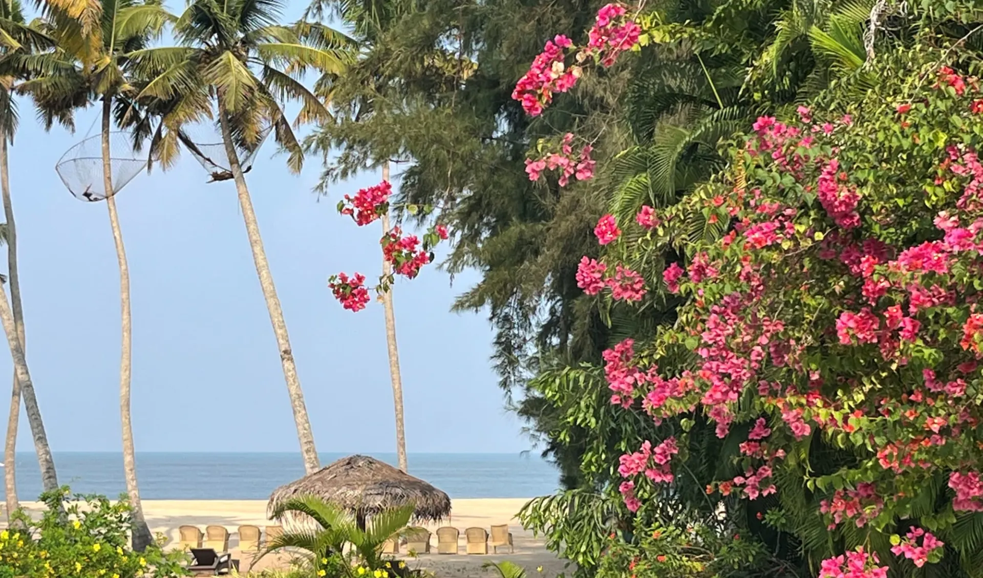 Carnoustie Ayurveda & Wellness Resort in Mararikulam:  Beach