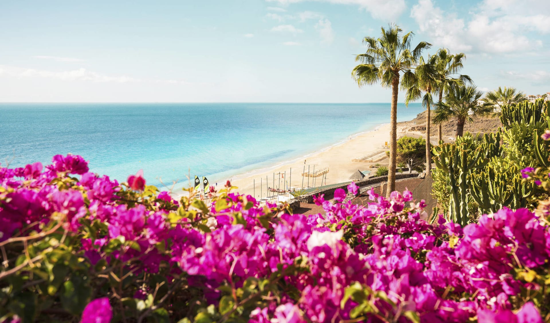 Badeferien im ROBINSON ESQUINZO PLAYA ab Fuerteventura: Beach_Flowers