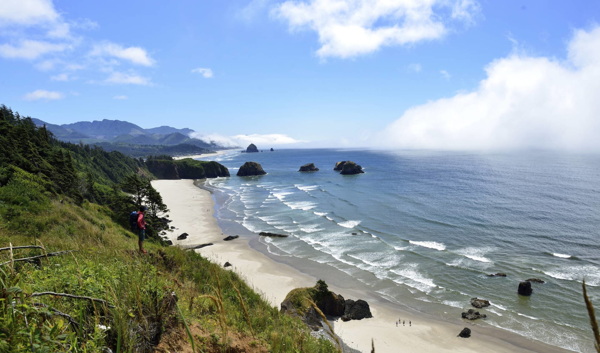 Wundervoll wildes Oregon ab Portland: beach: Küste - Credit: Satoshi Eto