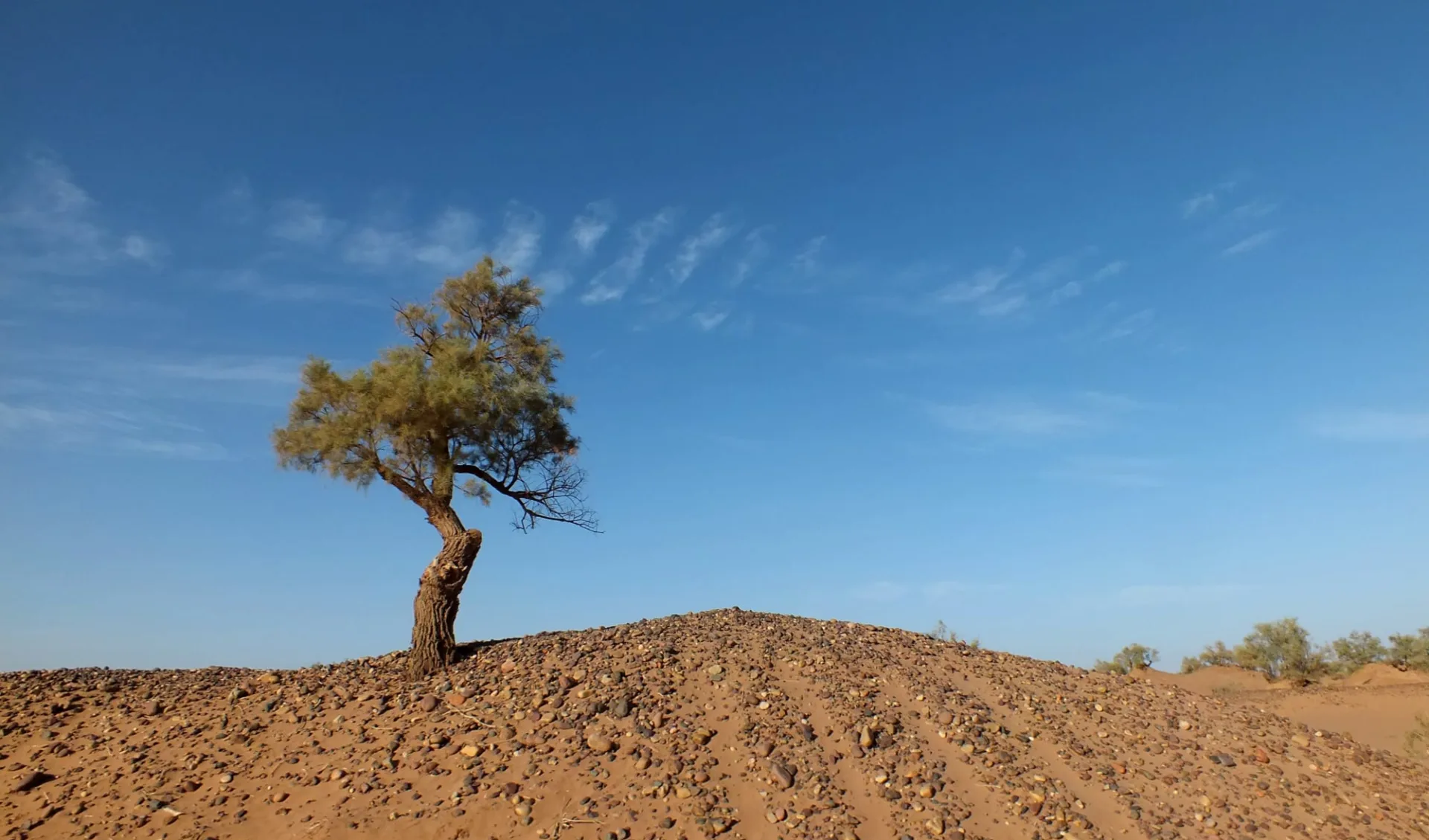 Trekking in den Weiten der Sahara ab Marrakesch: Between Mhamid_Erg Chegaga 