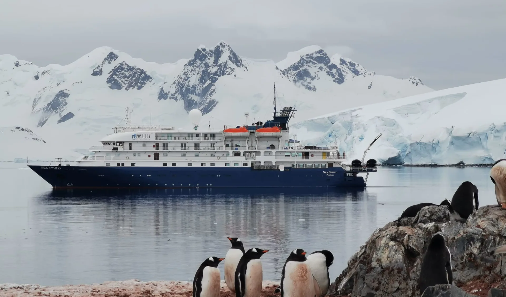 Die ultimative Naturexpedition ab Buenos Aires: Bild Seite 74 unten SeaSpirit_Antarctica_JohnBozinov_PoseidonExpeditions (3)