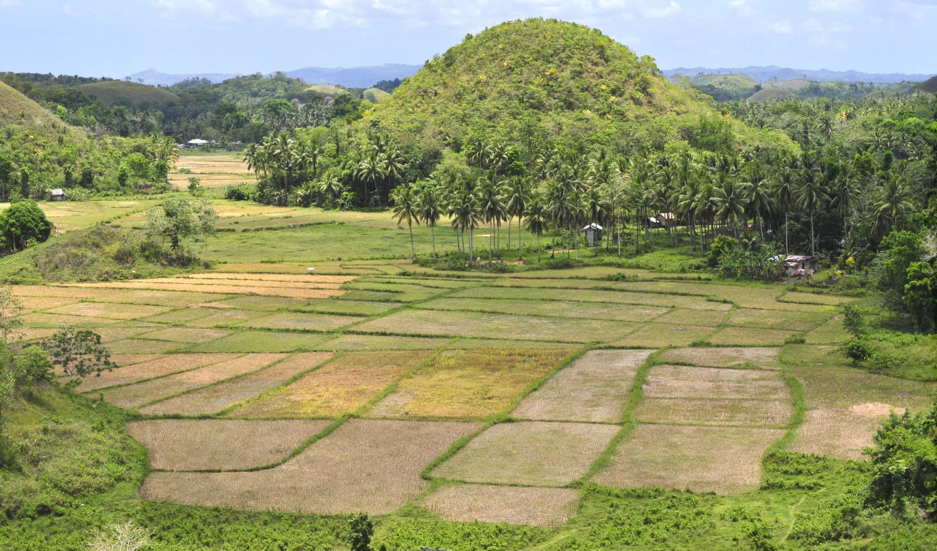 Individuelles Inselhüpfen auf den Philippinen ab Manila: Bohol Chocolate Hills