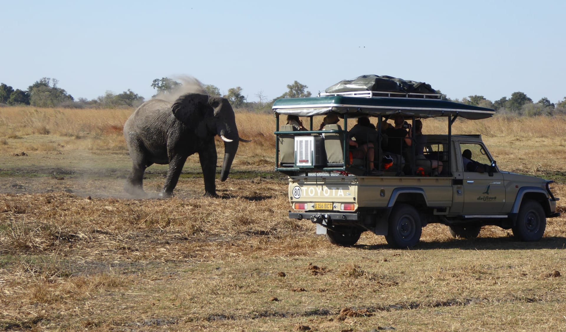 Botswana & Zimbabwe Abenteuer ab Central Kalahari: Bots 1