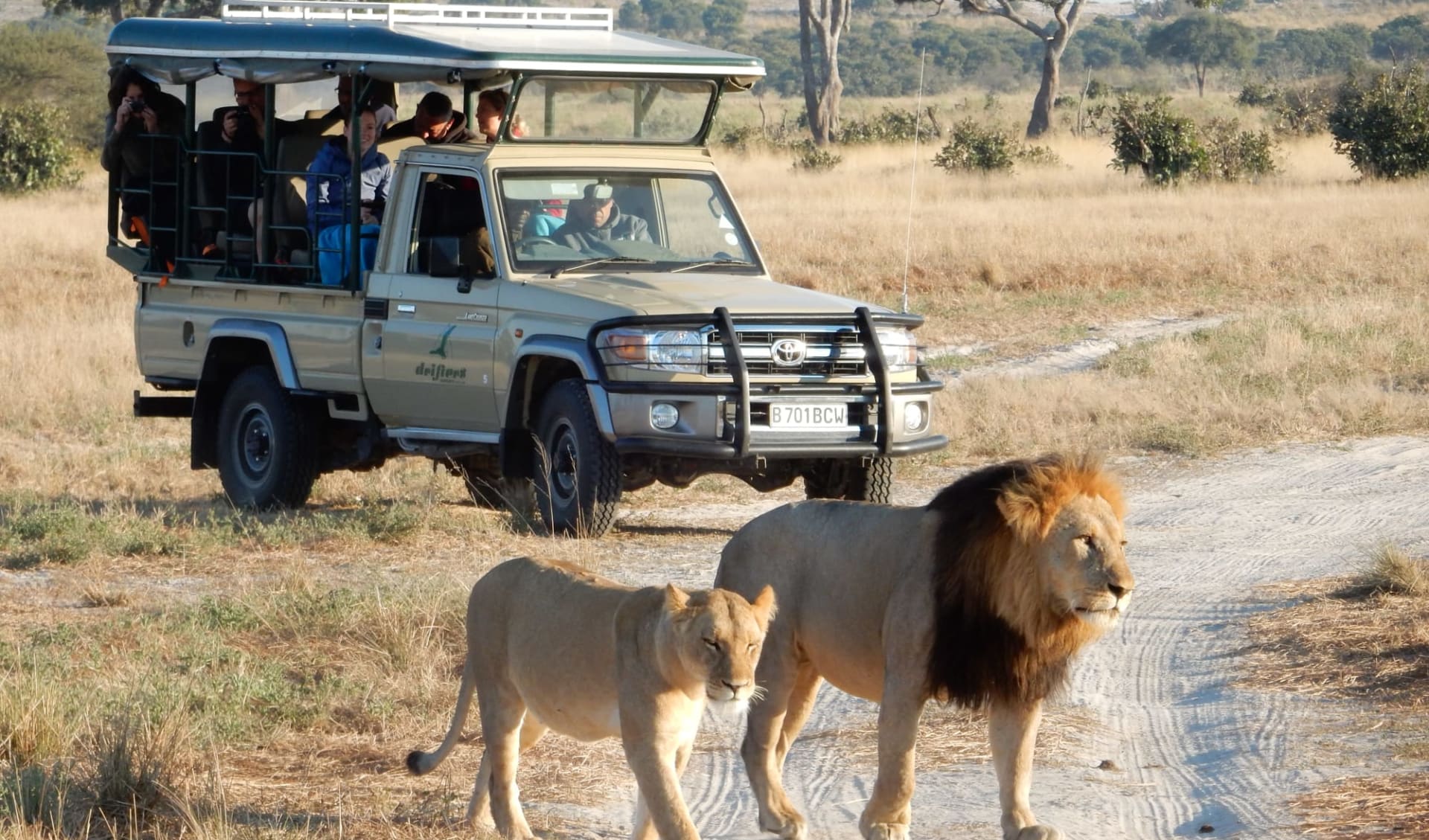 Botswana & Zimbabwe Abenteuer ab Central Kalahari: Bots 7