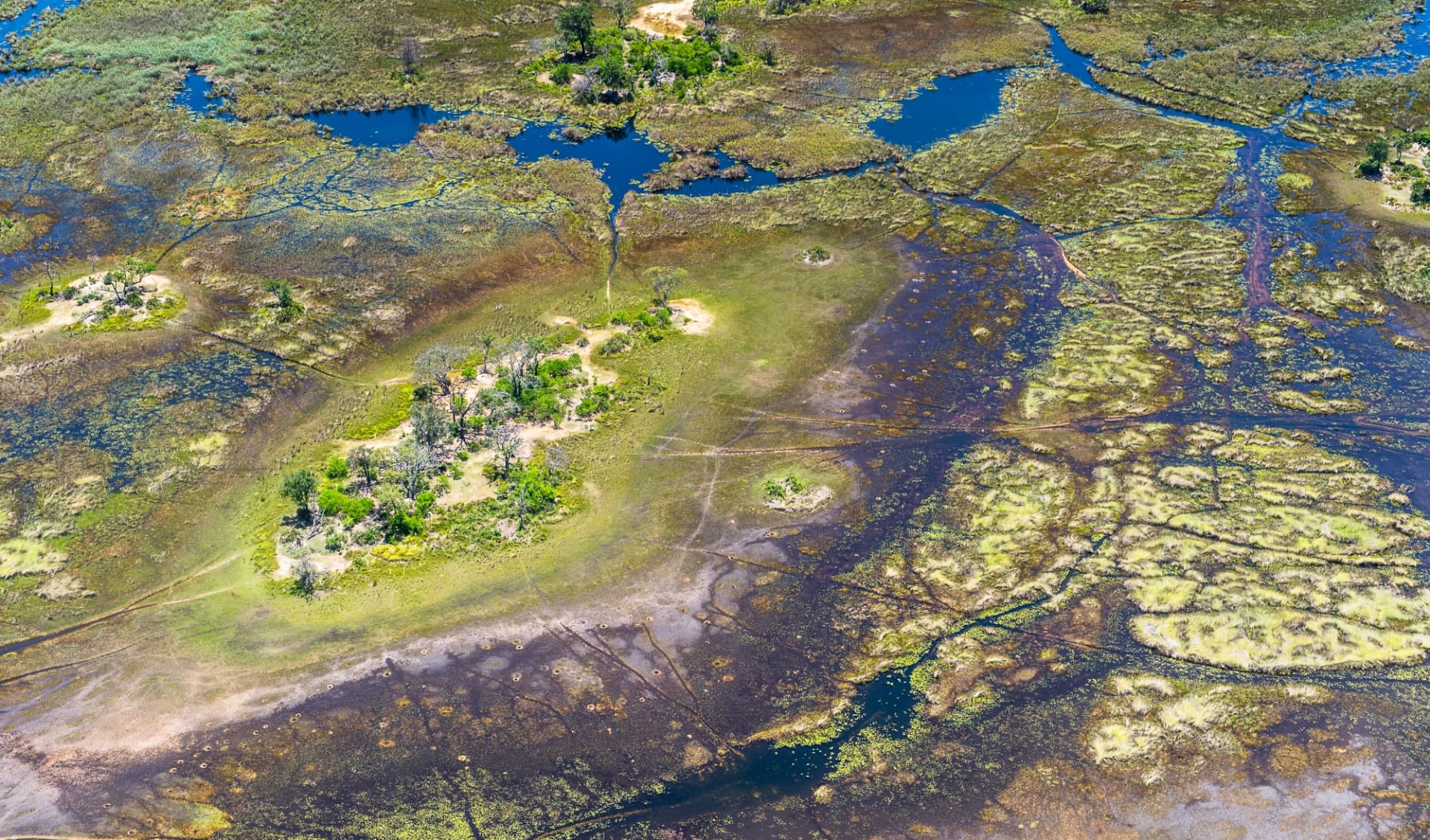 Schweizer Familie Lesereise Botswana - Im Reich der wilden Tiere ab Chobe Nationalpark: Botswana - Okavango Delta - Vogelperspektive