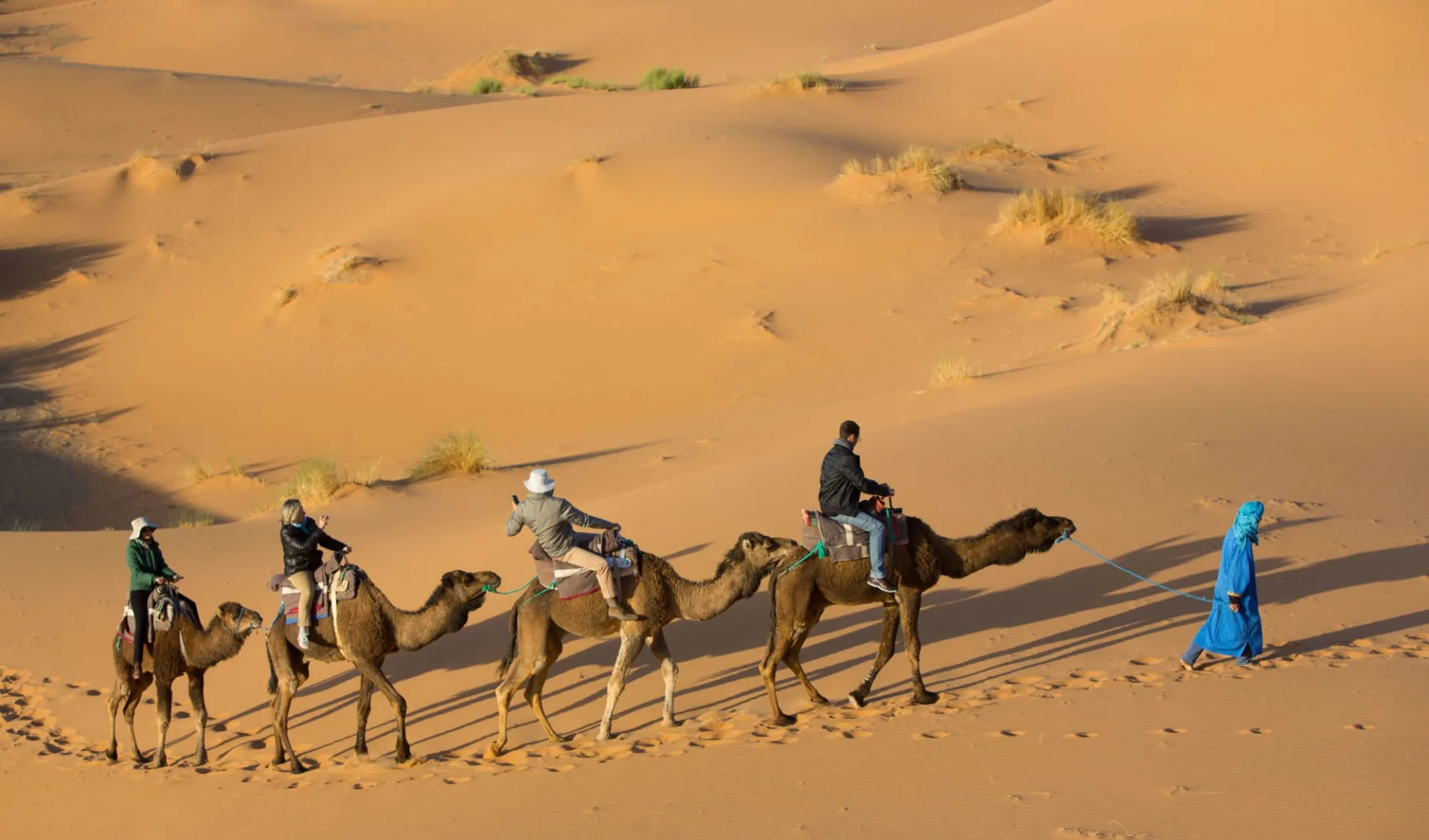 Selbstfahrer-Tour: Der Süden für Geniesser ab Marrakesch: Camel Ride in Erg Chebbi