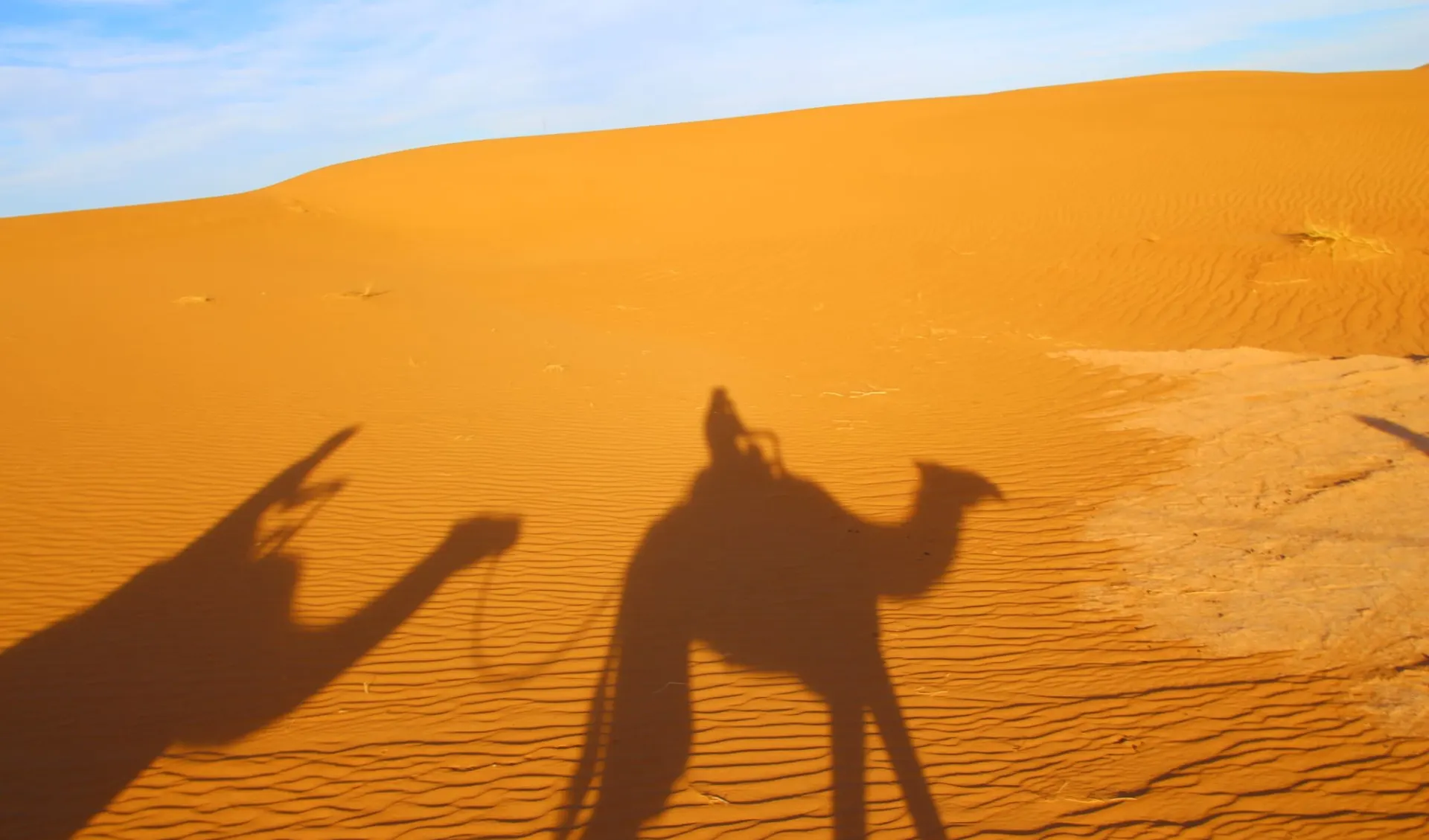 Trekking in den Weiten der Sahara ab Marrakesch: Camel trekking in Erg Chegaga