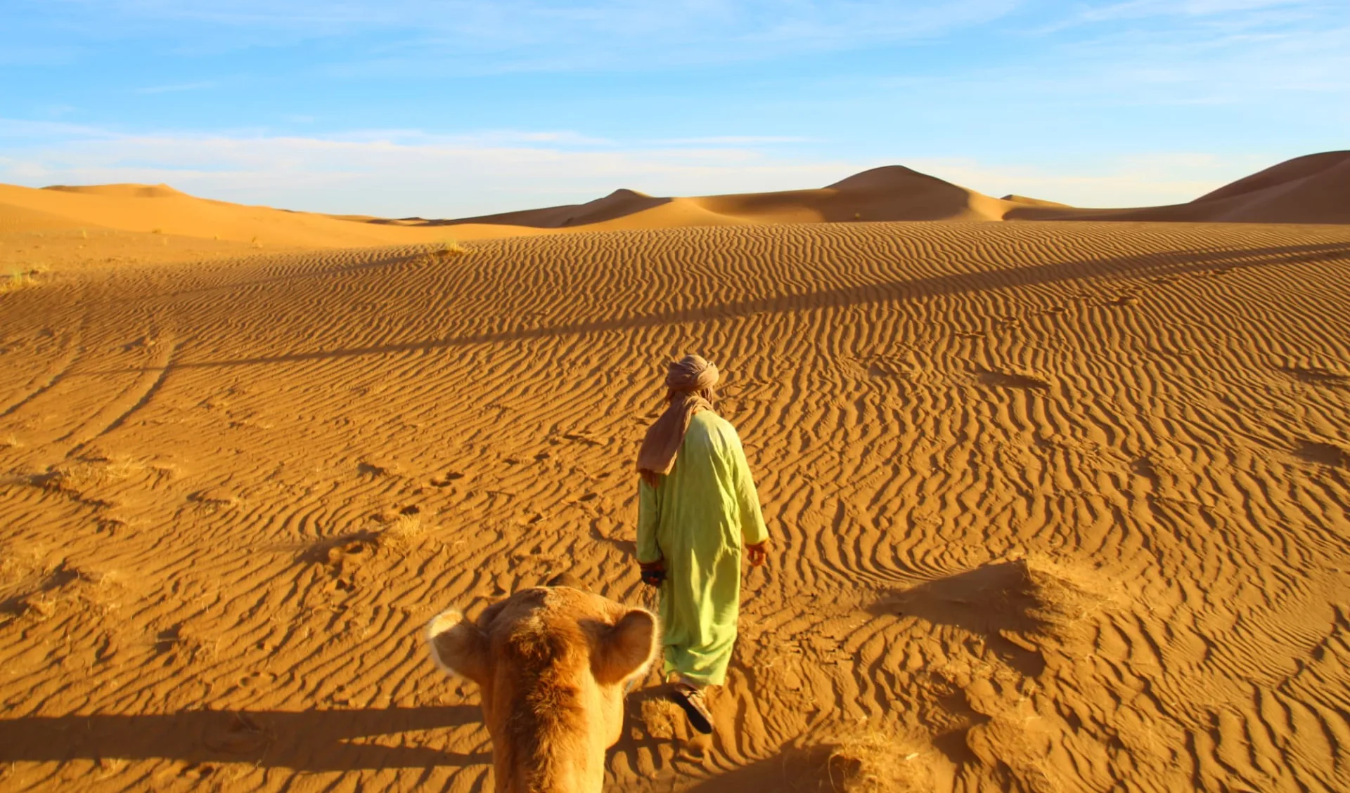 Marokko's Süden für Wanderer ab Marrakesch: Camel trekking in Erg Chegaga