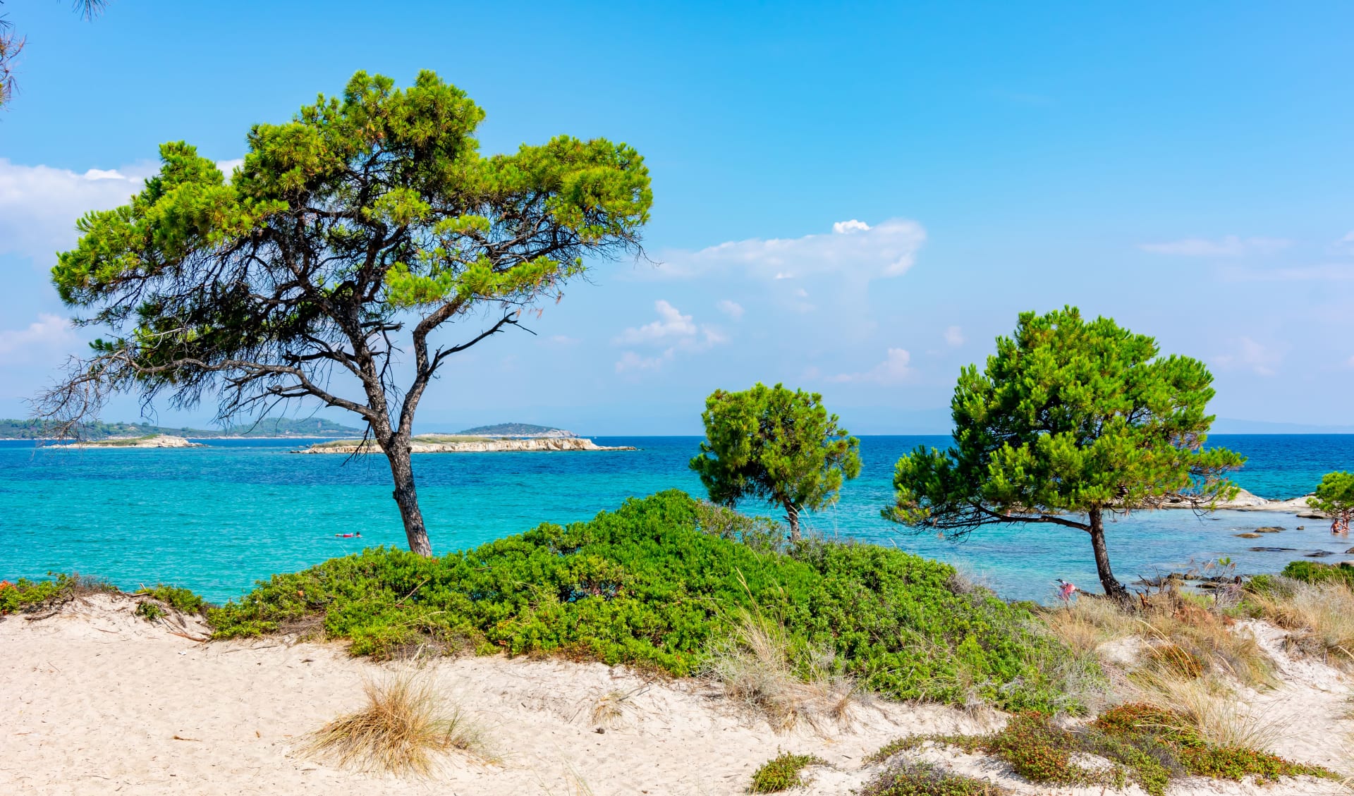 Badeferien im TUI BLUE Lagoon Palace ab Chalkidiki: Chalkidiki_Kieferbäume_Strand_