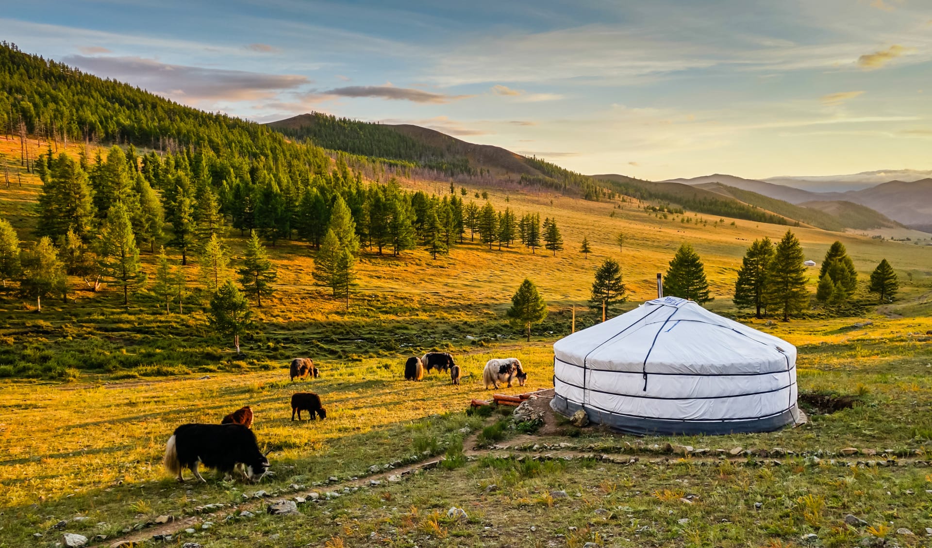 Sonnenuntergang über dem Mongolischen Tal