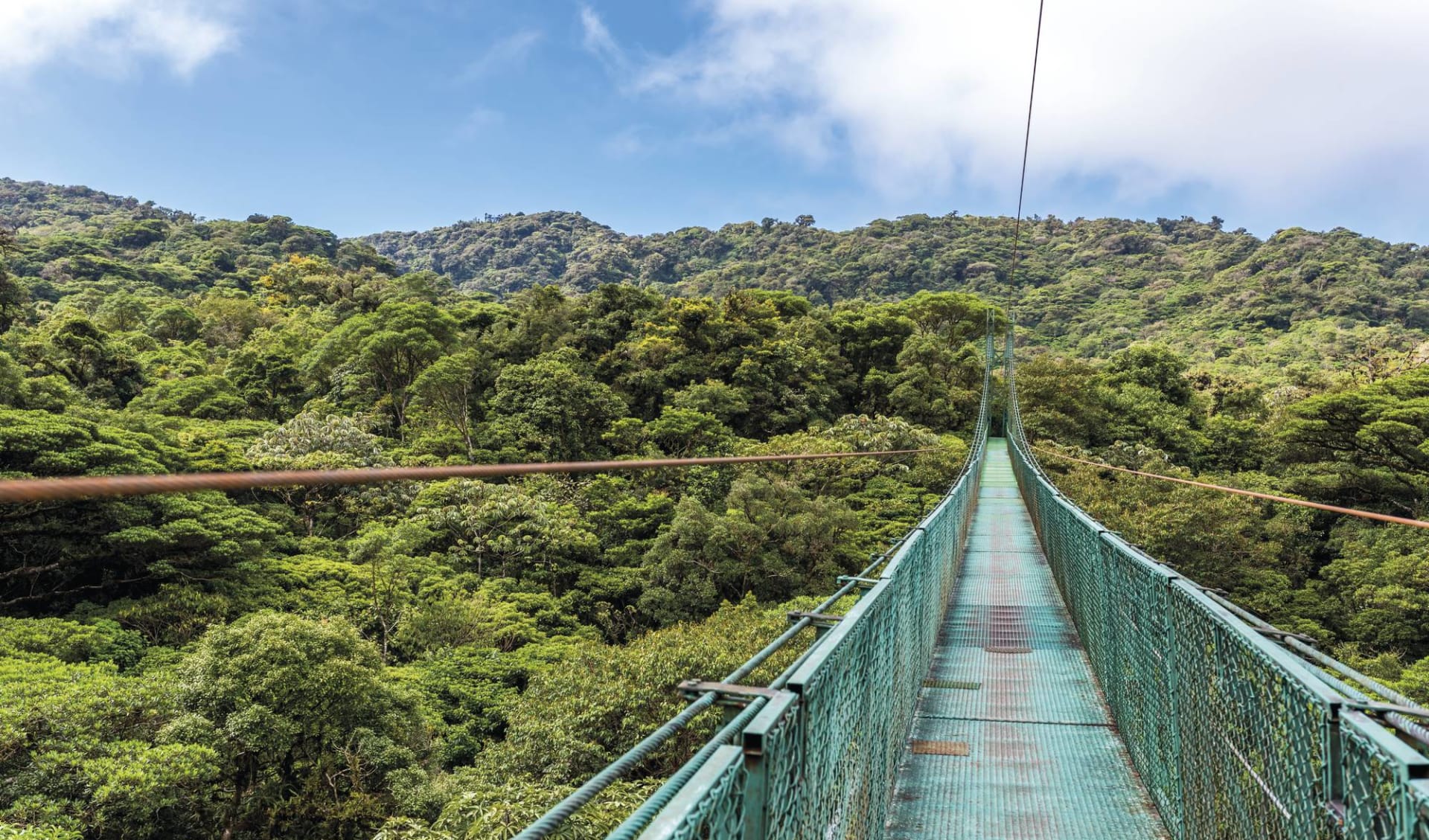 Mietwagenreise Costa Rica Total ab San José City: Costa Rica - Monteverde - Hängebrücke