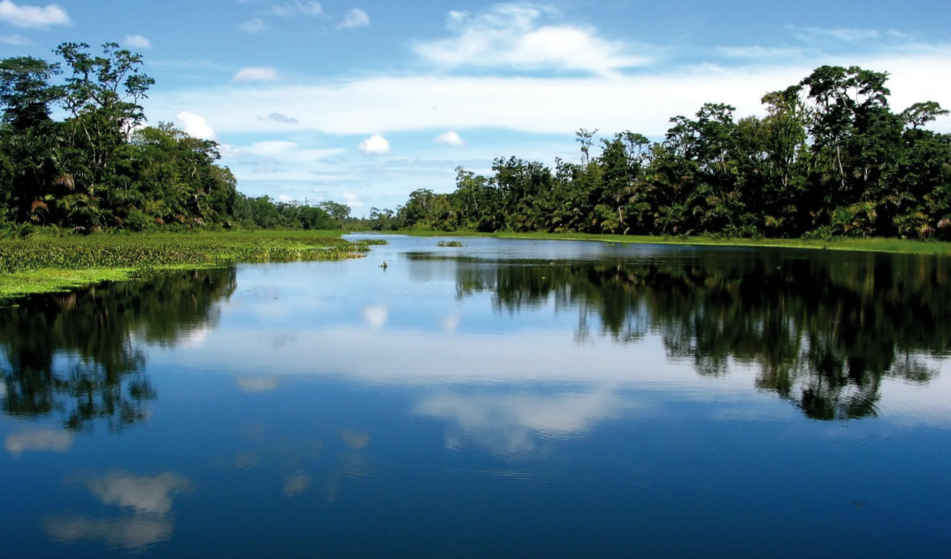 Gruppenreise Karibik mal anders ab San José City: Costa Rica - Tortuguero Nationalpark - Flussbett