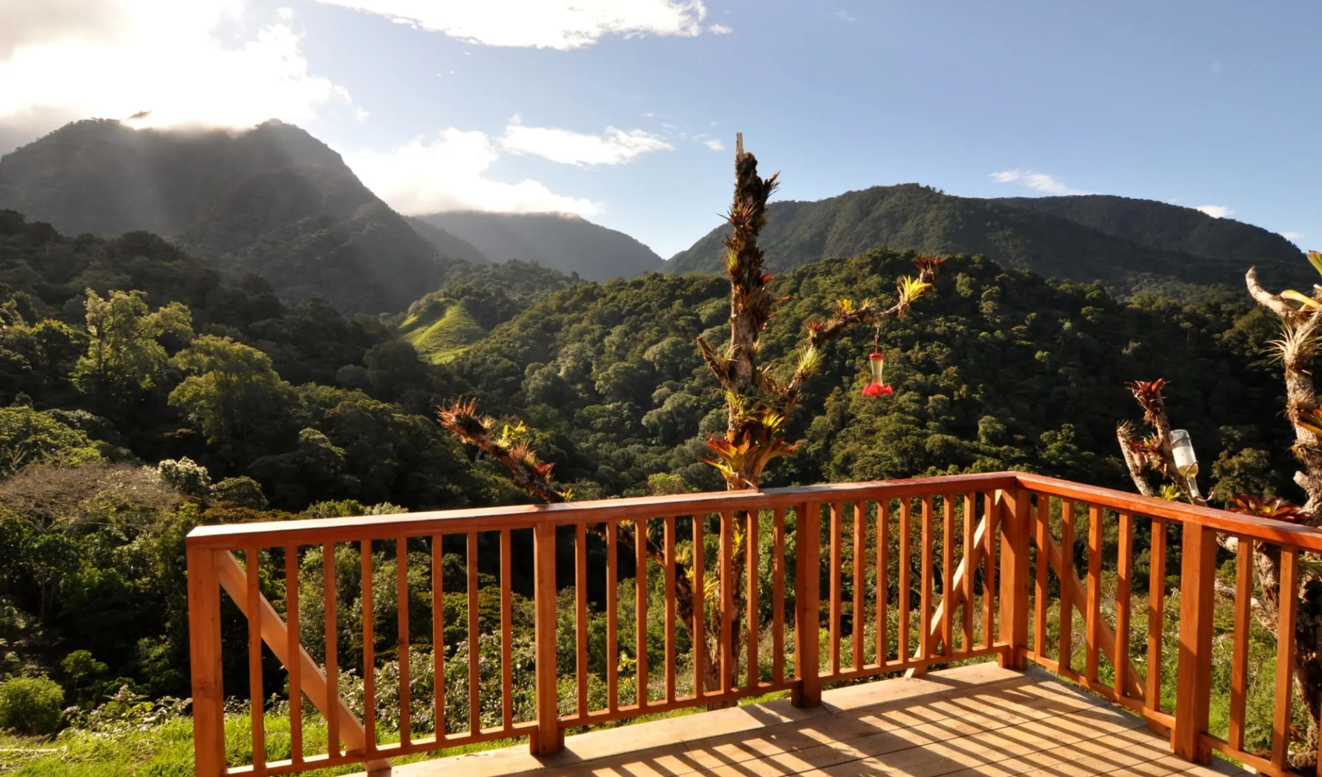 Mount Totumas Cloud Forest Lodge in Volcán: deck 2 bb lodge