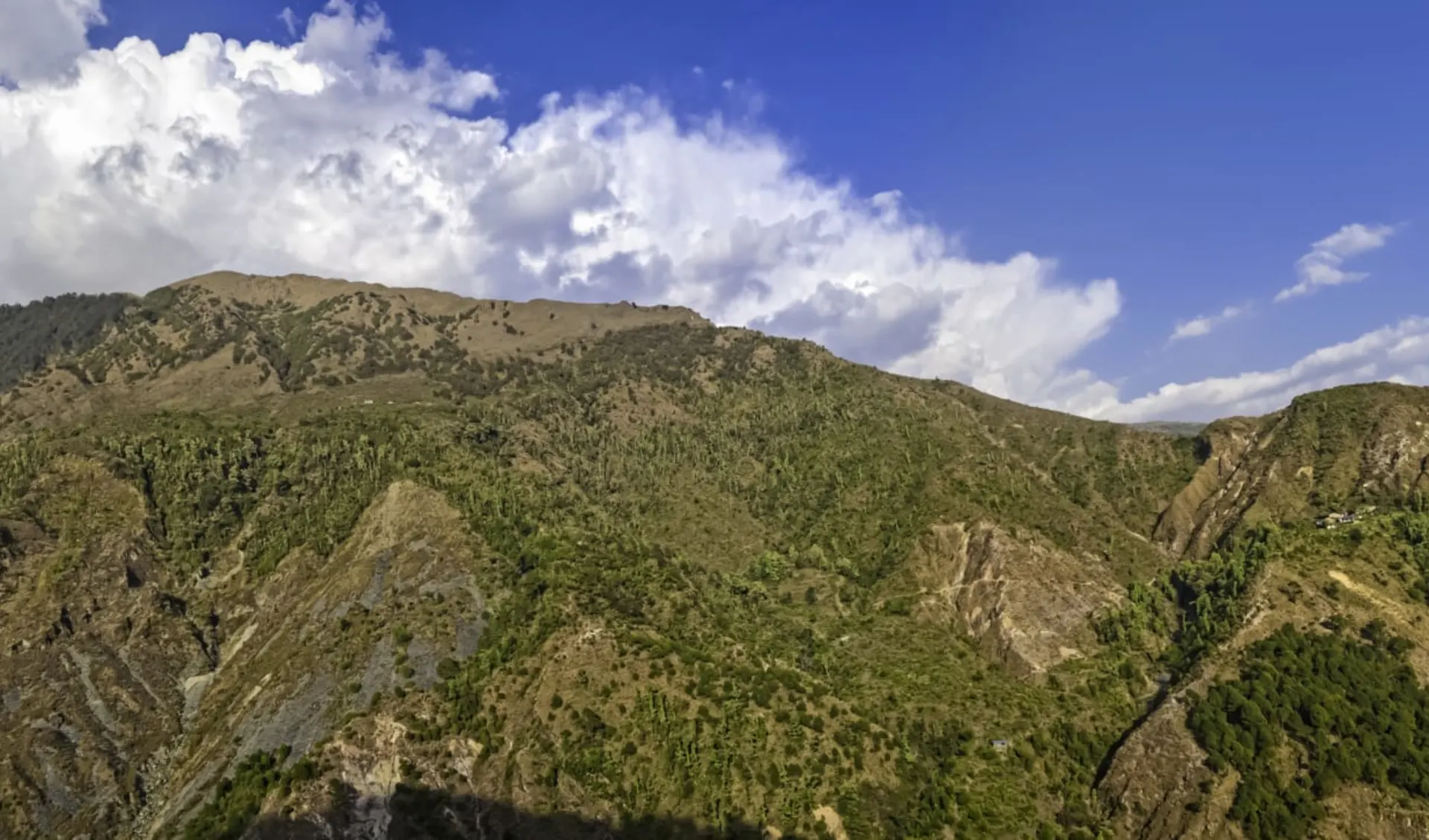 Himachal Pradesh & Ladakh ab Delhi: Dharamsala: Mountain