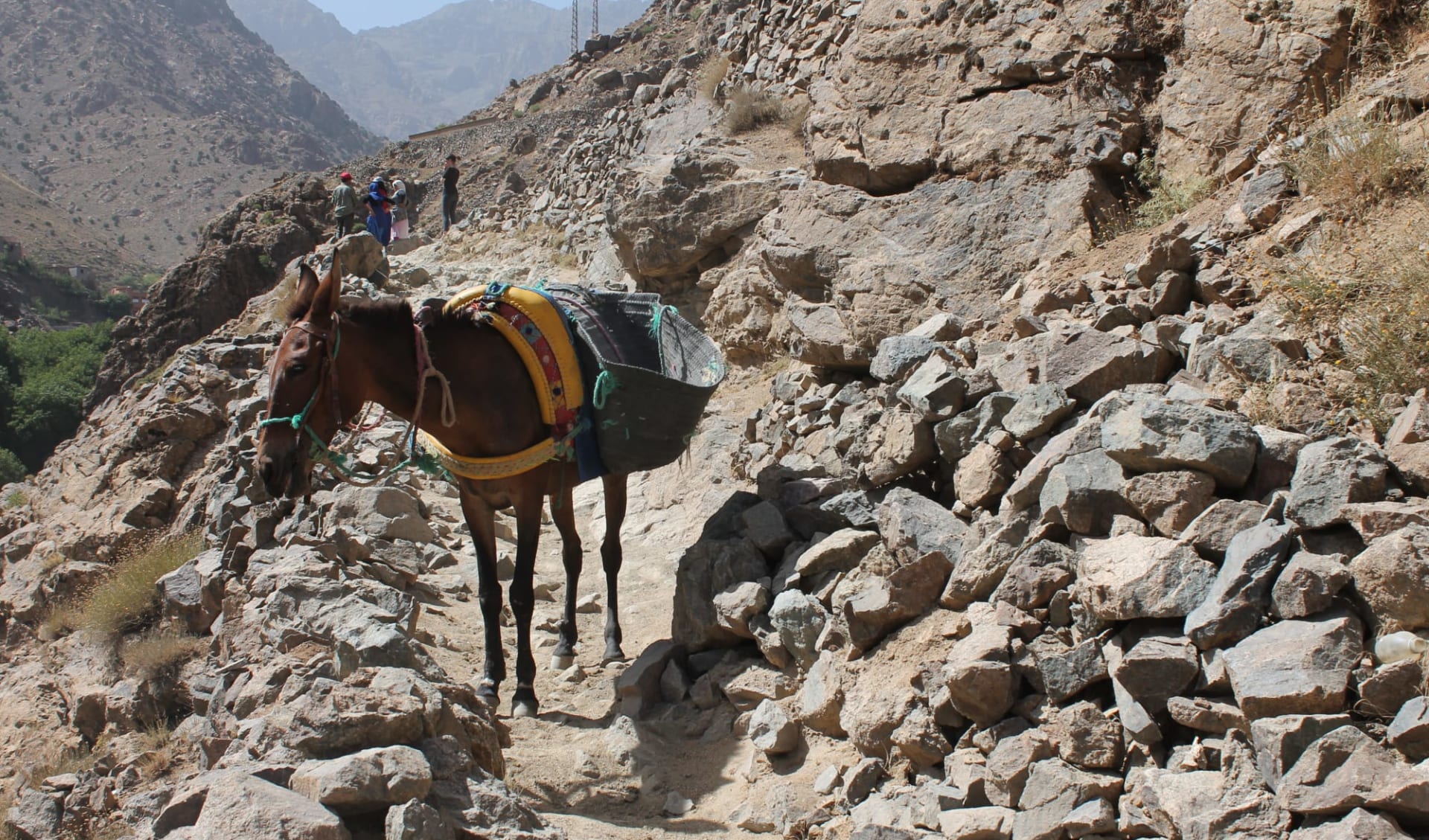 Djebel Saghro und Wüsten-Trekking ab Marrakesch: Djebel Toubkal Trekking