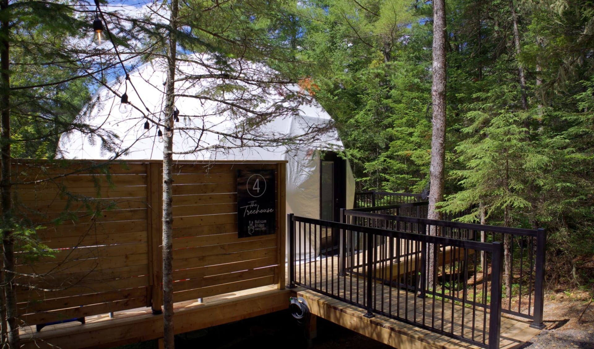 Balsam Ridge Forest Domes in Alma: Dome 1