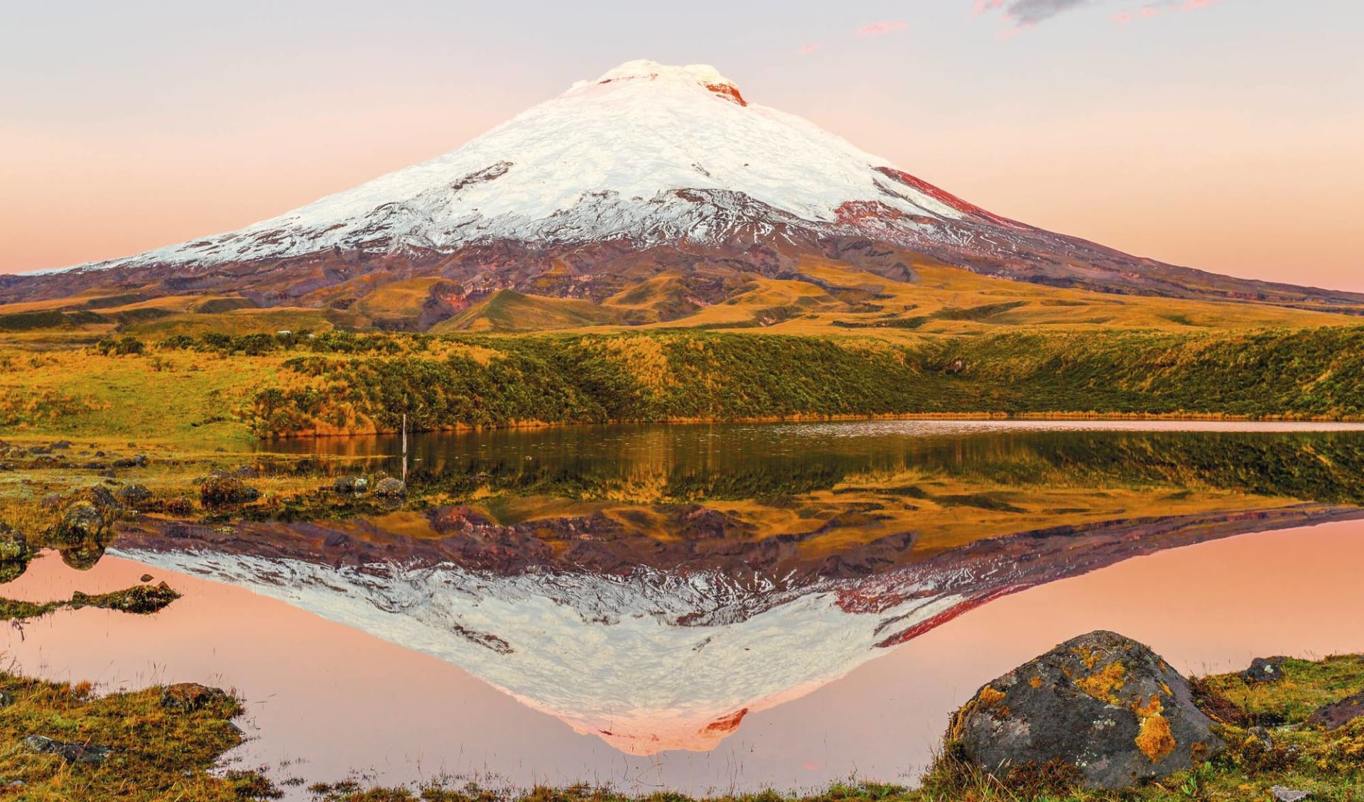 Die Vulkanstrasse ab Quito: Ecuador - Cotopaxi - Rosa touch spiegelt in See