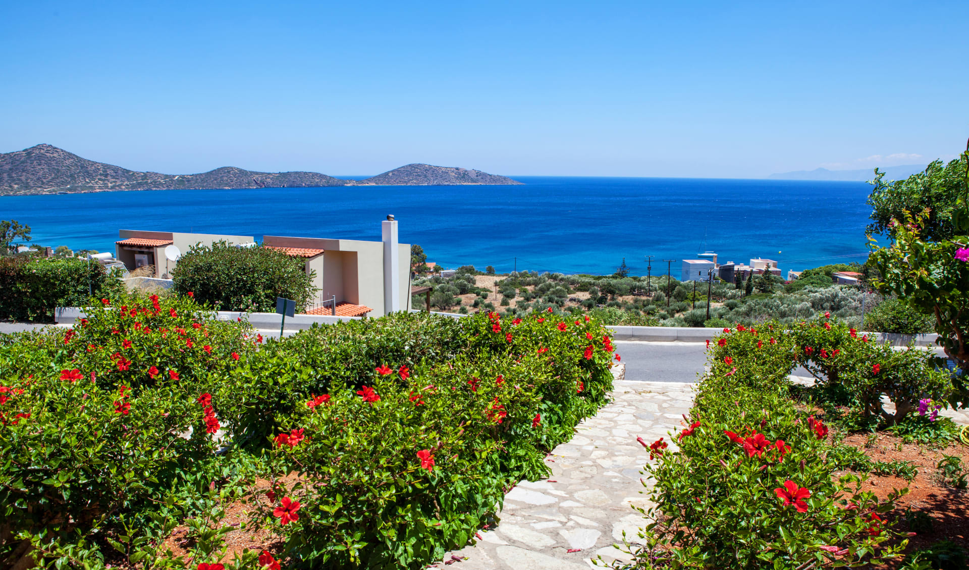 Badeferien im Elounda Beach Hotel & Villas ab Chersonissos: Elounda Blumen Kreta Griechenland