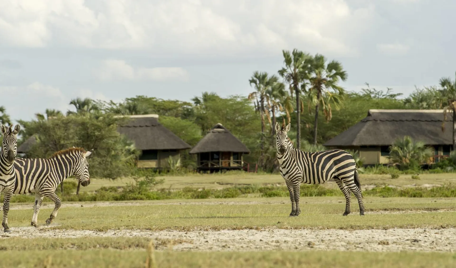 Ngorongoro - Tarangire Safari ab Arusha: exterior: 