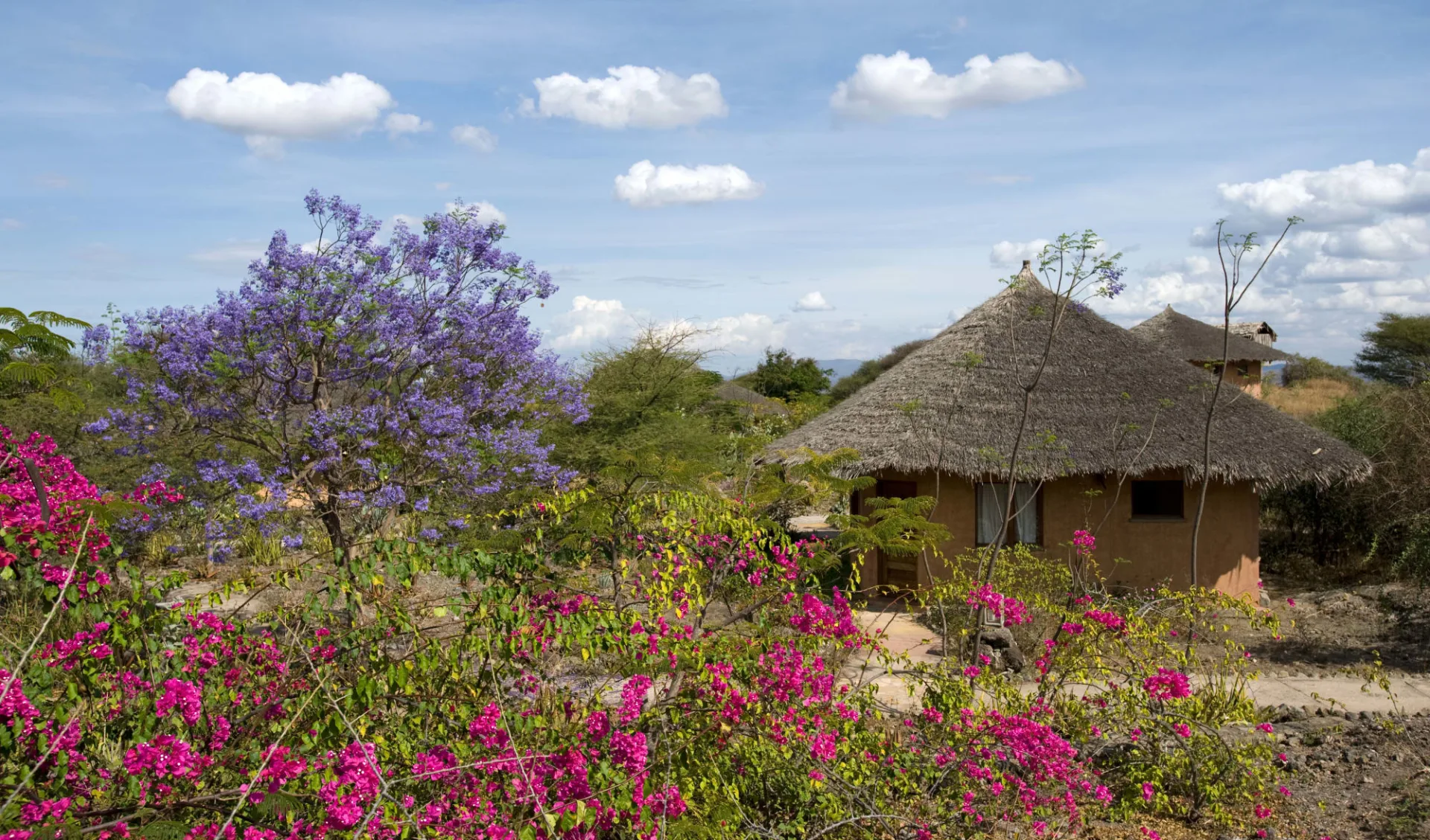 KIA Lodge in Arusha: 