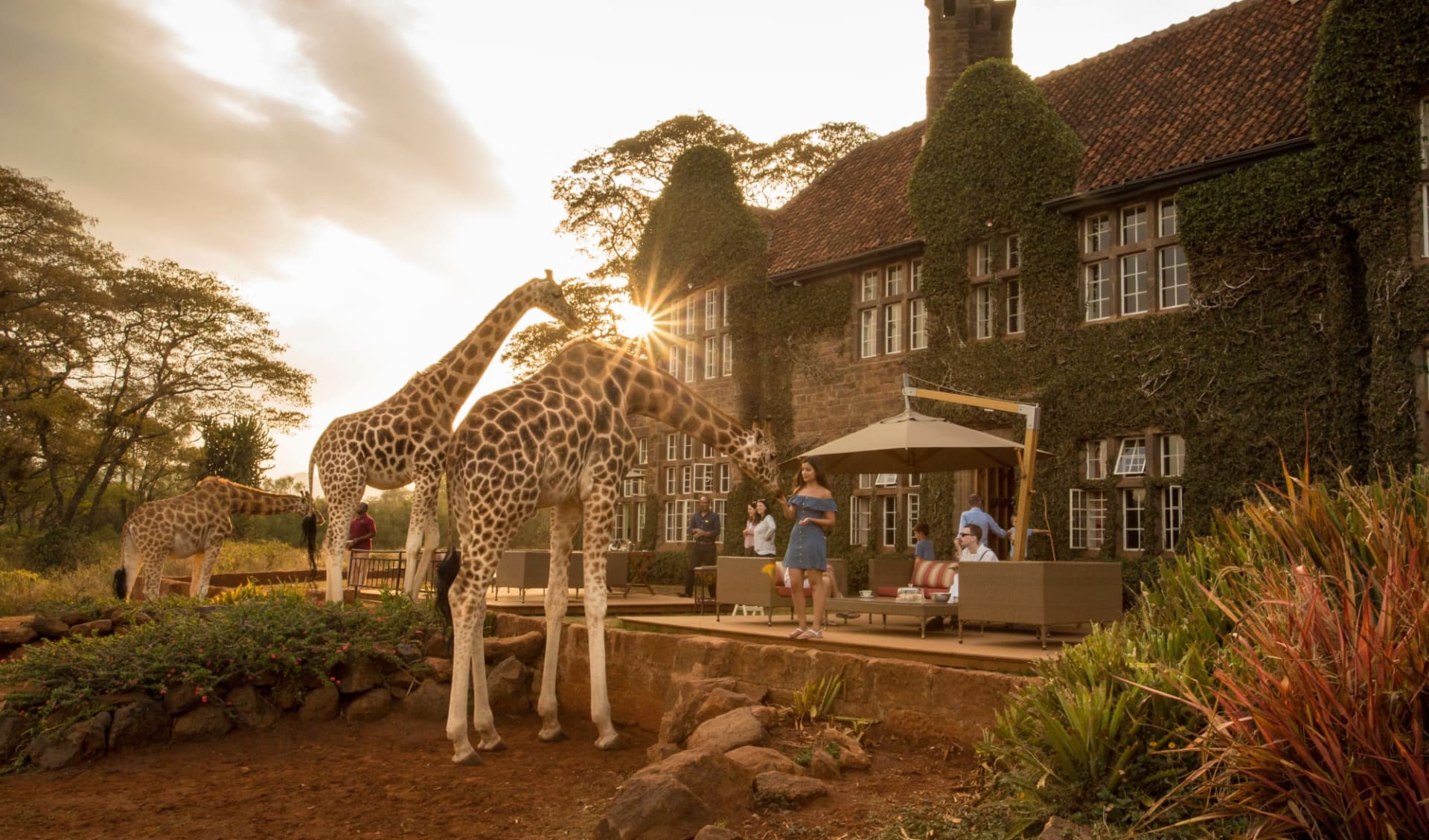 Giraffe Manor in Nairobi: exterior: