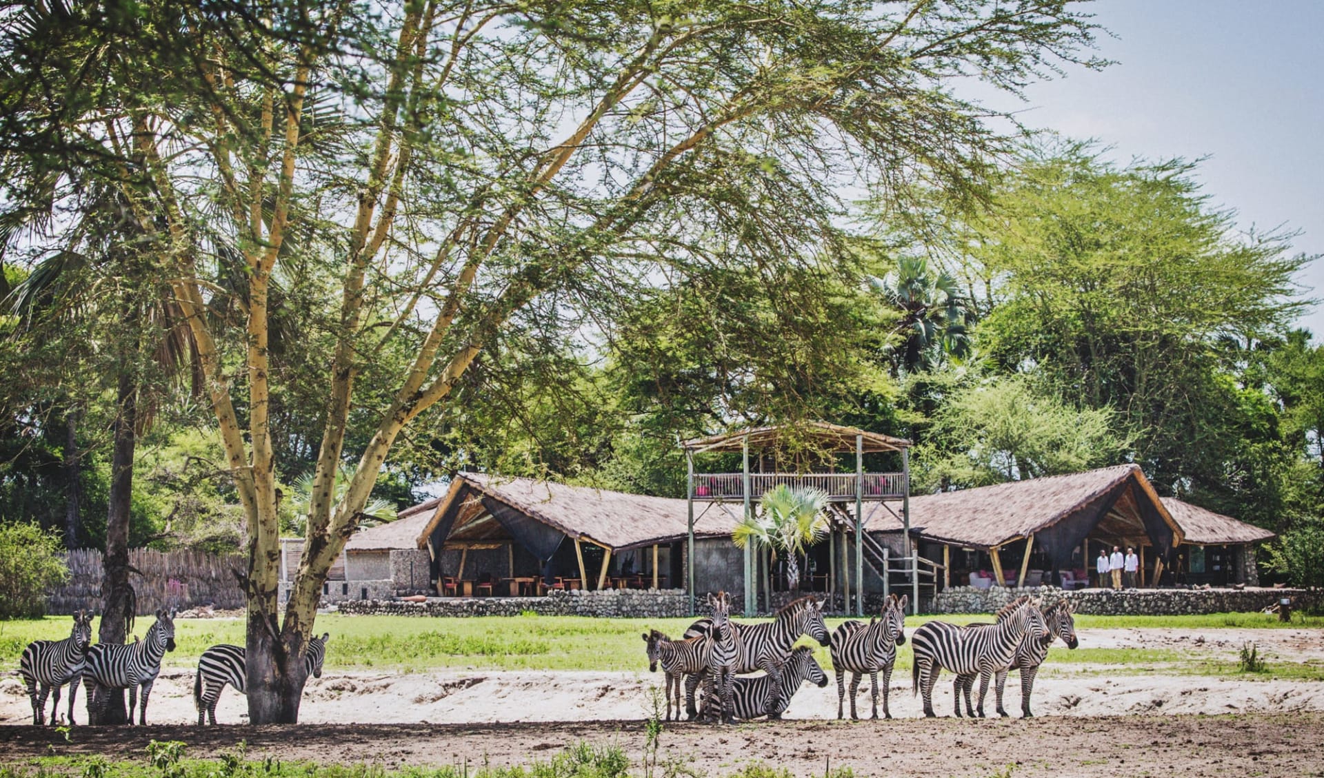 Chem Chem Lodge in Tarangire:  