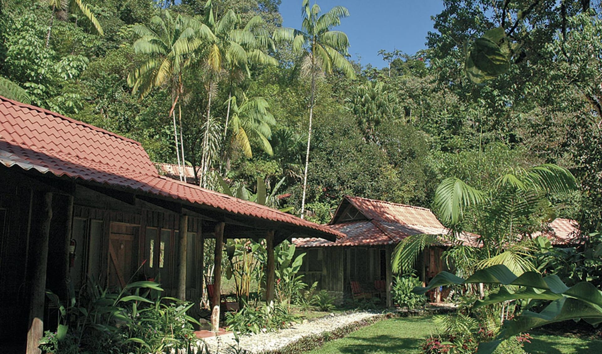 Esquinas Rainforest Lodge in Golfito: exterior esquinas rainforest lodge natur jungle