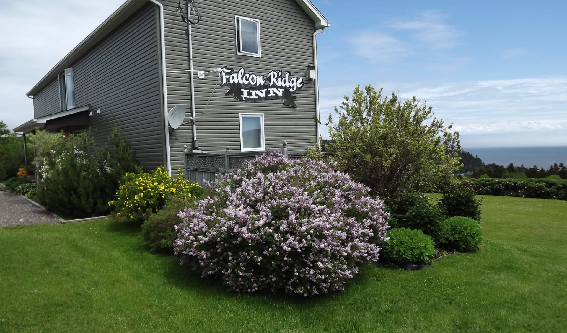 Falcon Ridge Inn in Alma: Aussenansicht