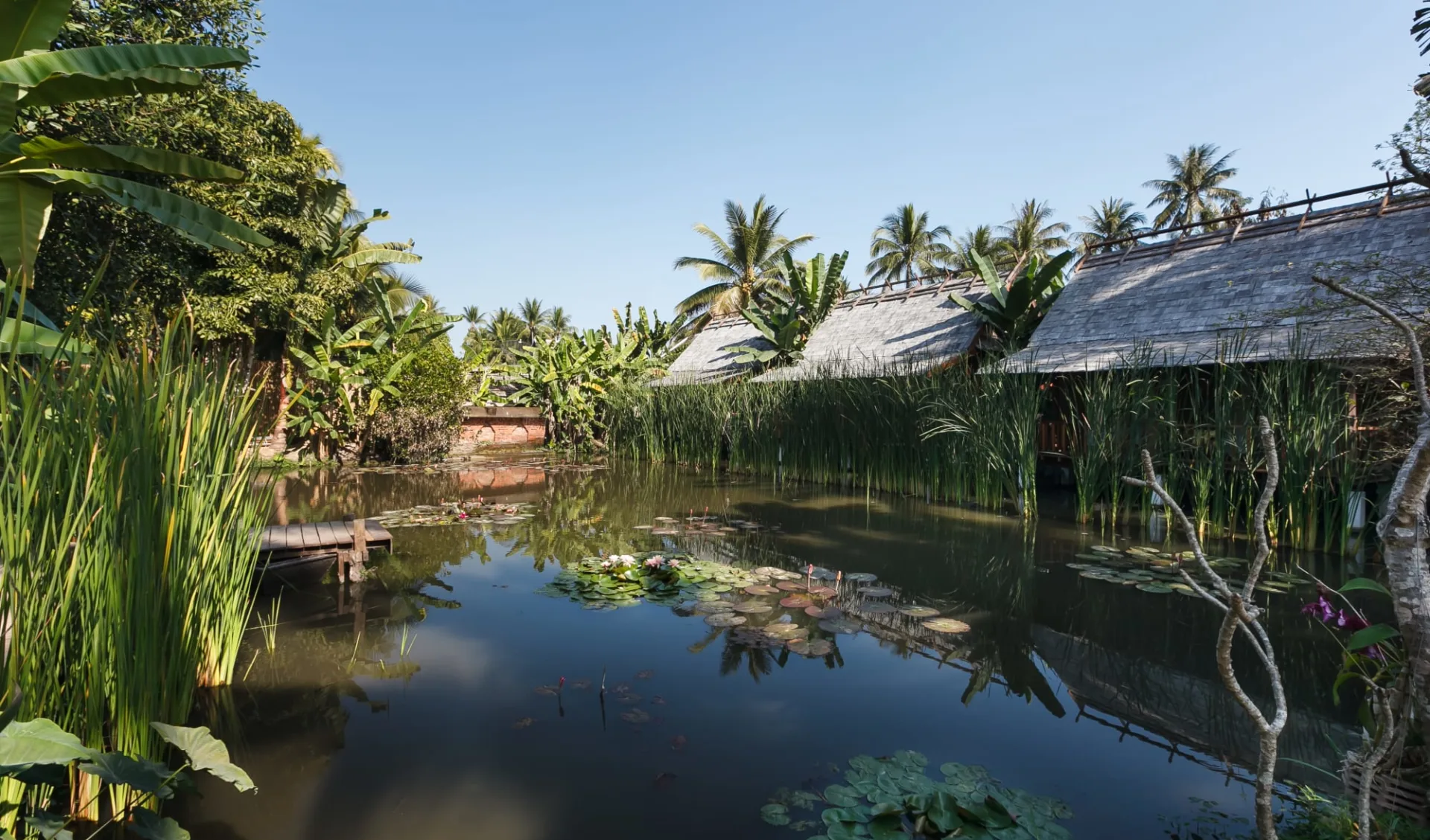 Maison Dalabua in Luang Prabang: Garden