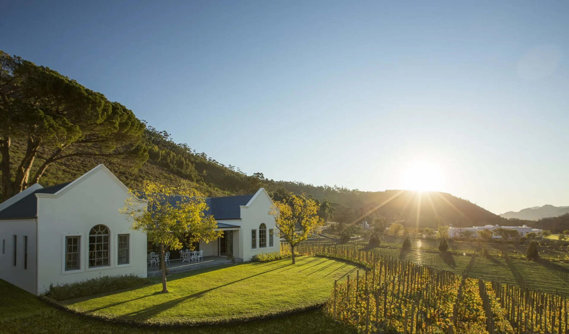 Leeu Estates in Franschhoek: Leeu Estates