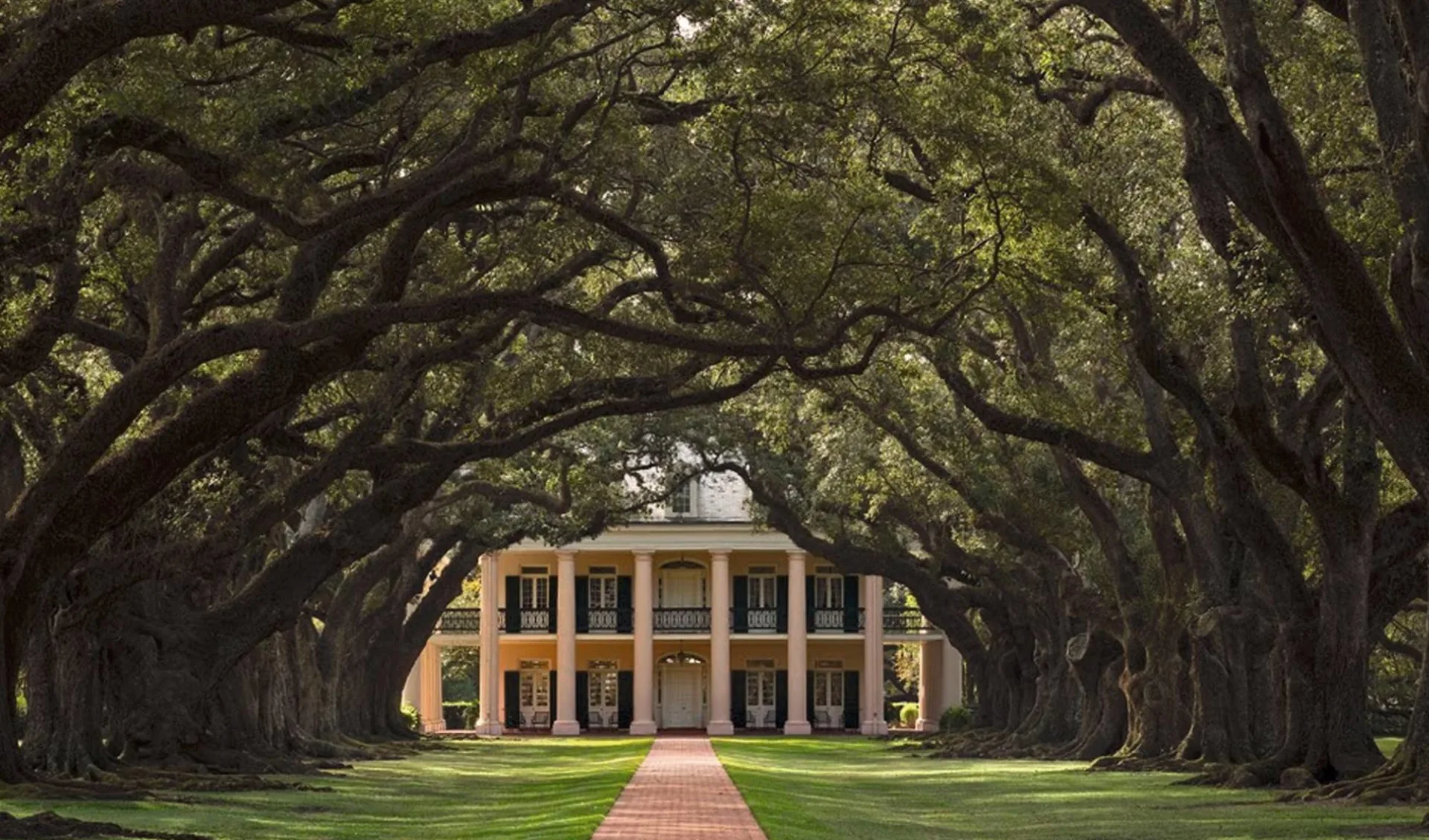 Oak Alley Plantation in Vacherie: exterior oak alley plantation hotelansicht weg bäume