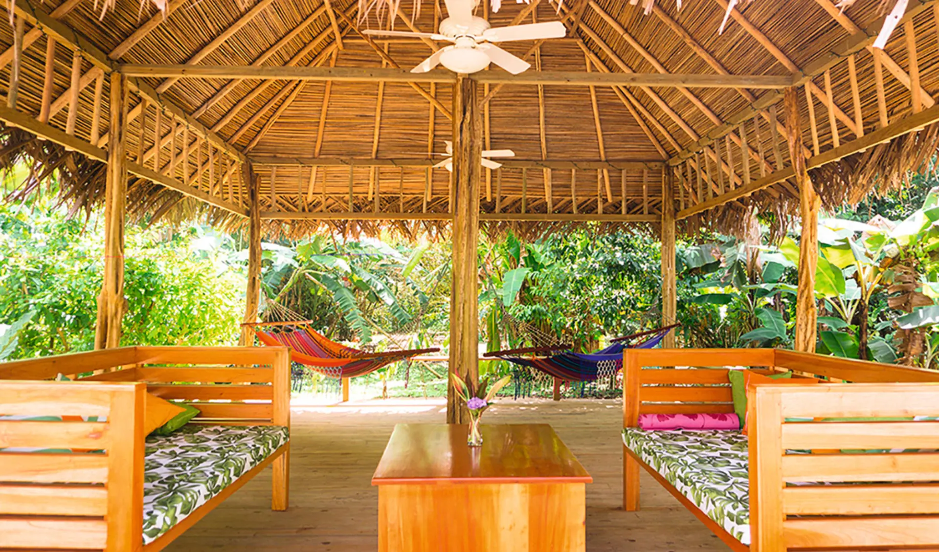 The Hummingbird Hotel in Isla Colon: Exterior - The Hummingbird Hotel - 03 hammocks