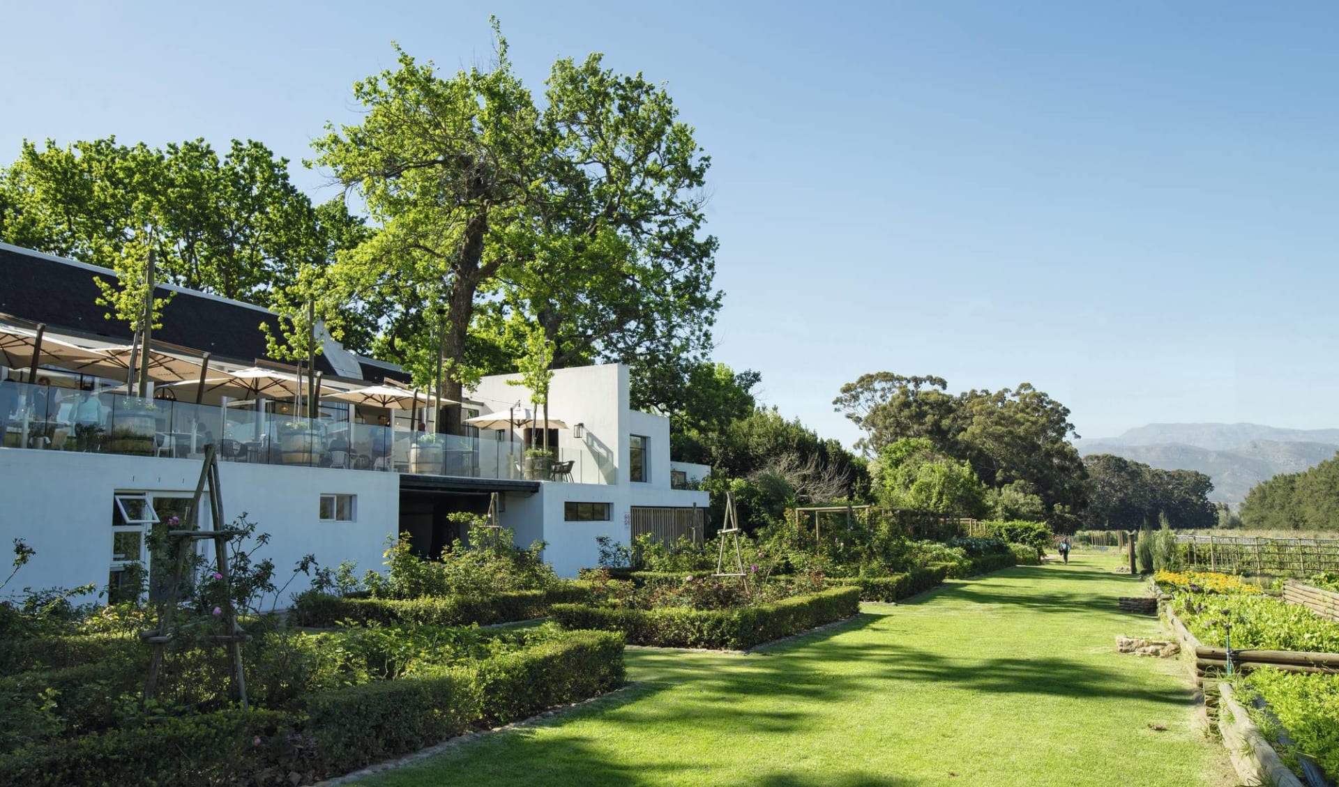 Boschendal Wine Estate in Stellenbosch: Boschendal - Werf-Restaurant2