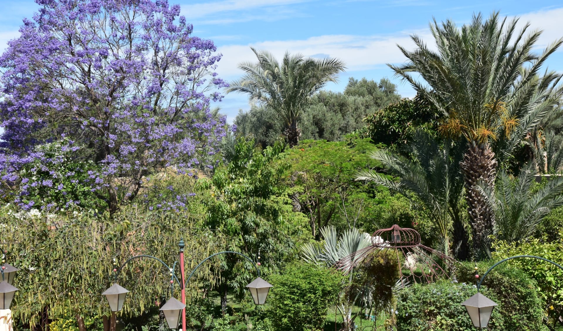 Dar Zitoune in Taroudant:  