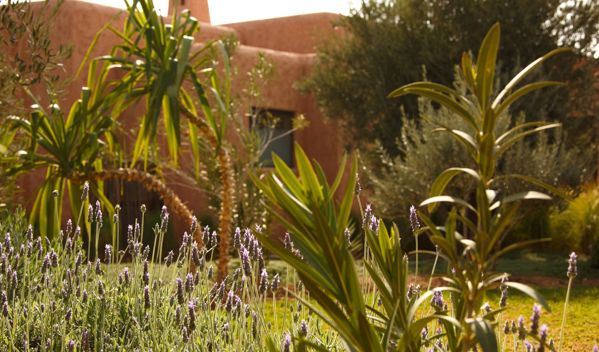 Oasis Lodges in Marrakesch: 