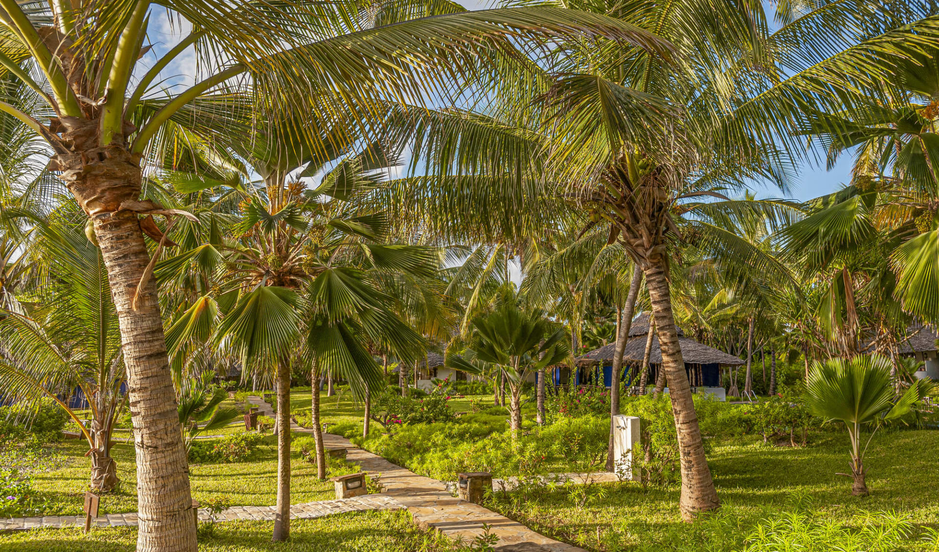 The Palms in Zanzibar Südostküste:  Gardens