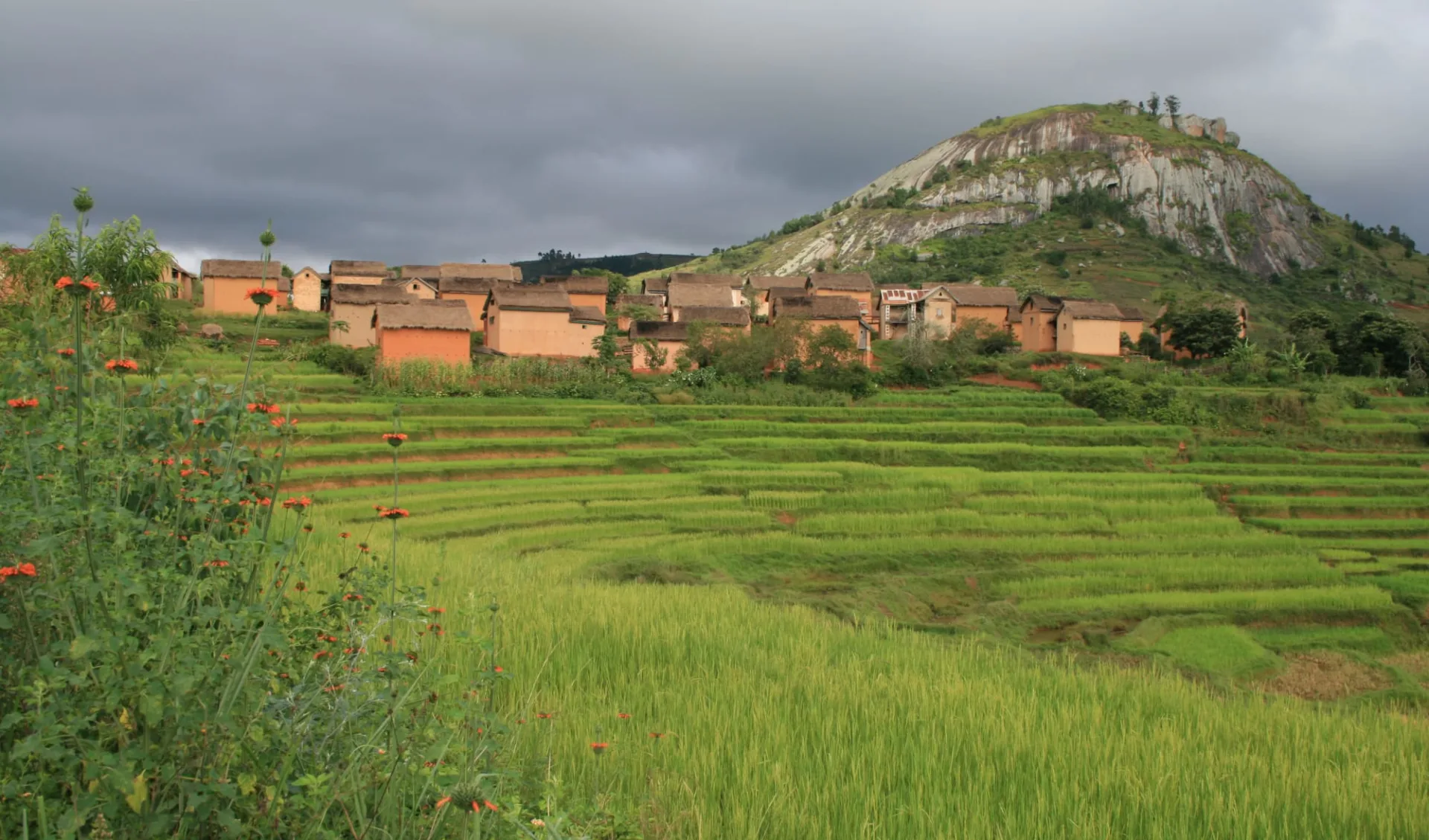 Den Süden entdecken ab Antananarivo: Fianarantsoa