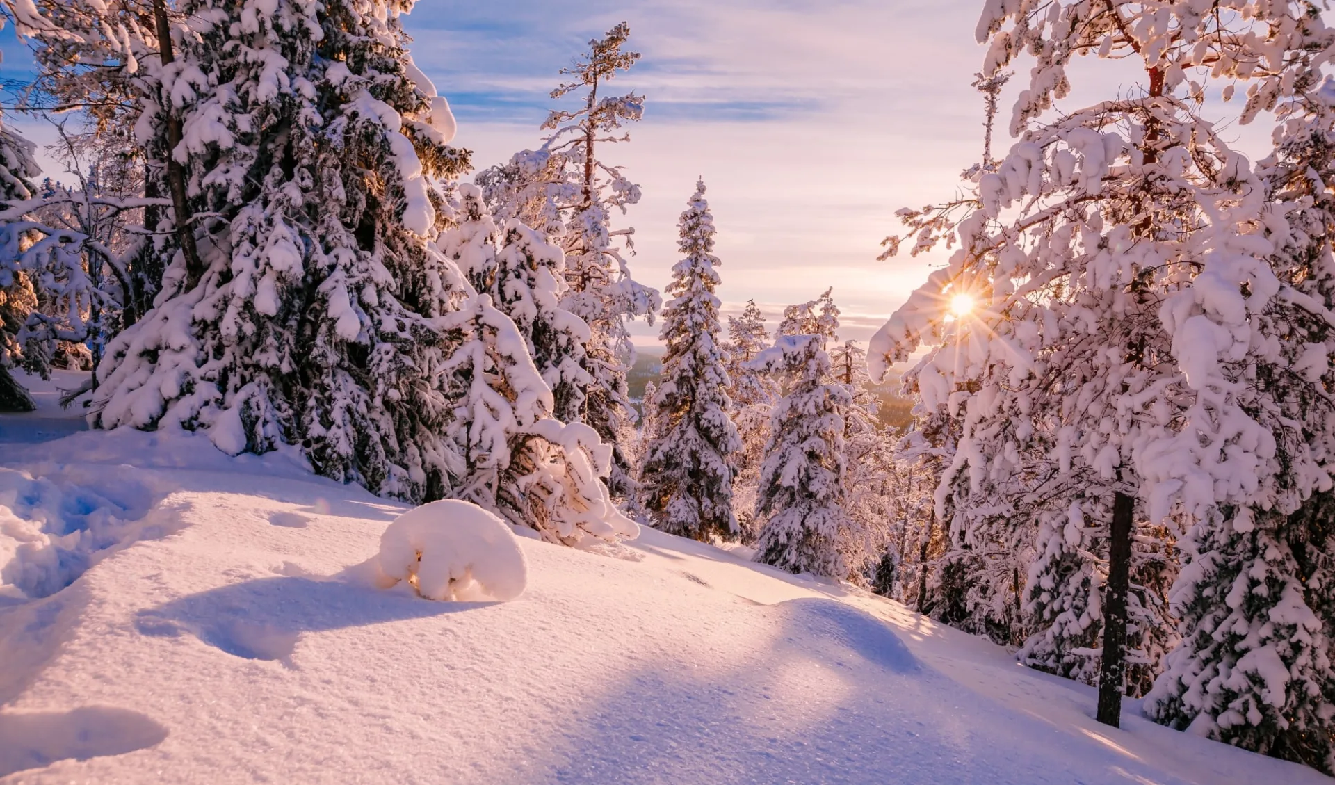 Gasthaus Papin Talo in Ruka: Finnland Lappland Winter Landschaft