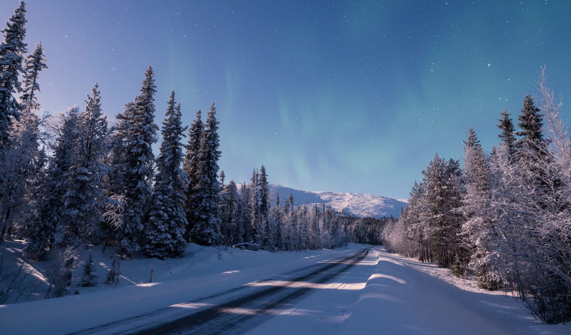 Muonio - Hundeschlittensafari ab Kittilä: Finnland Lappland Winterlandschaft