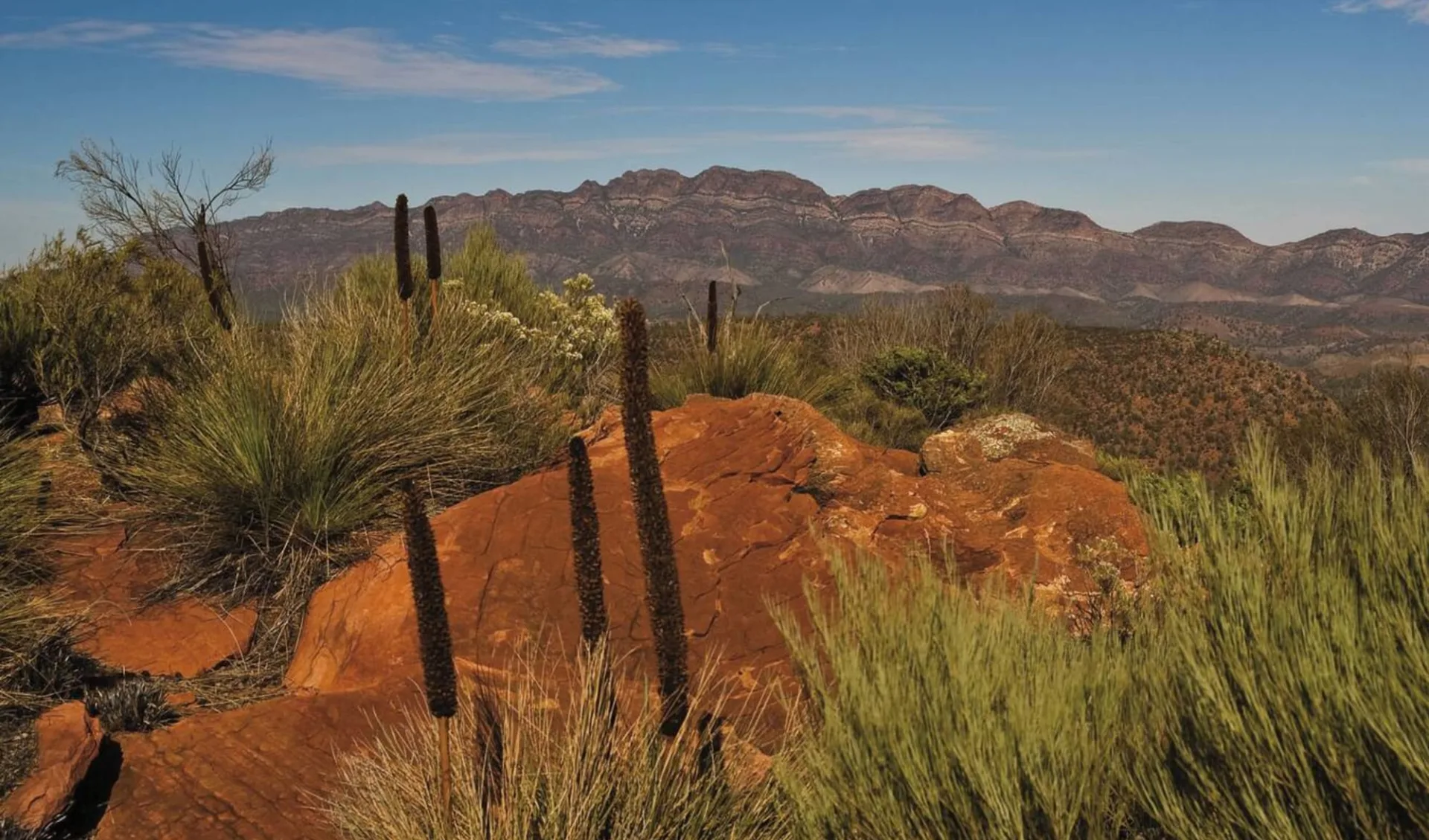 Flinders Ranges & Outback 4WD Eco Safari ab Adelaide: Flinders Ranges