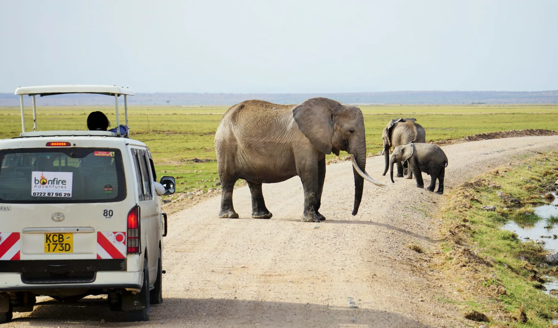 Amboseli - Tsavo Safari ab Nairobi: game drive