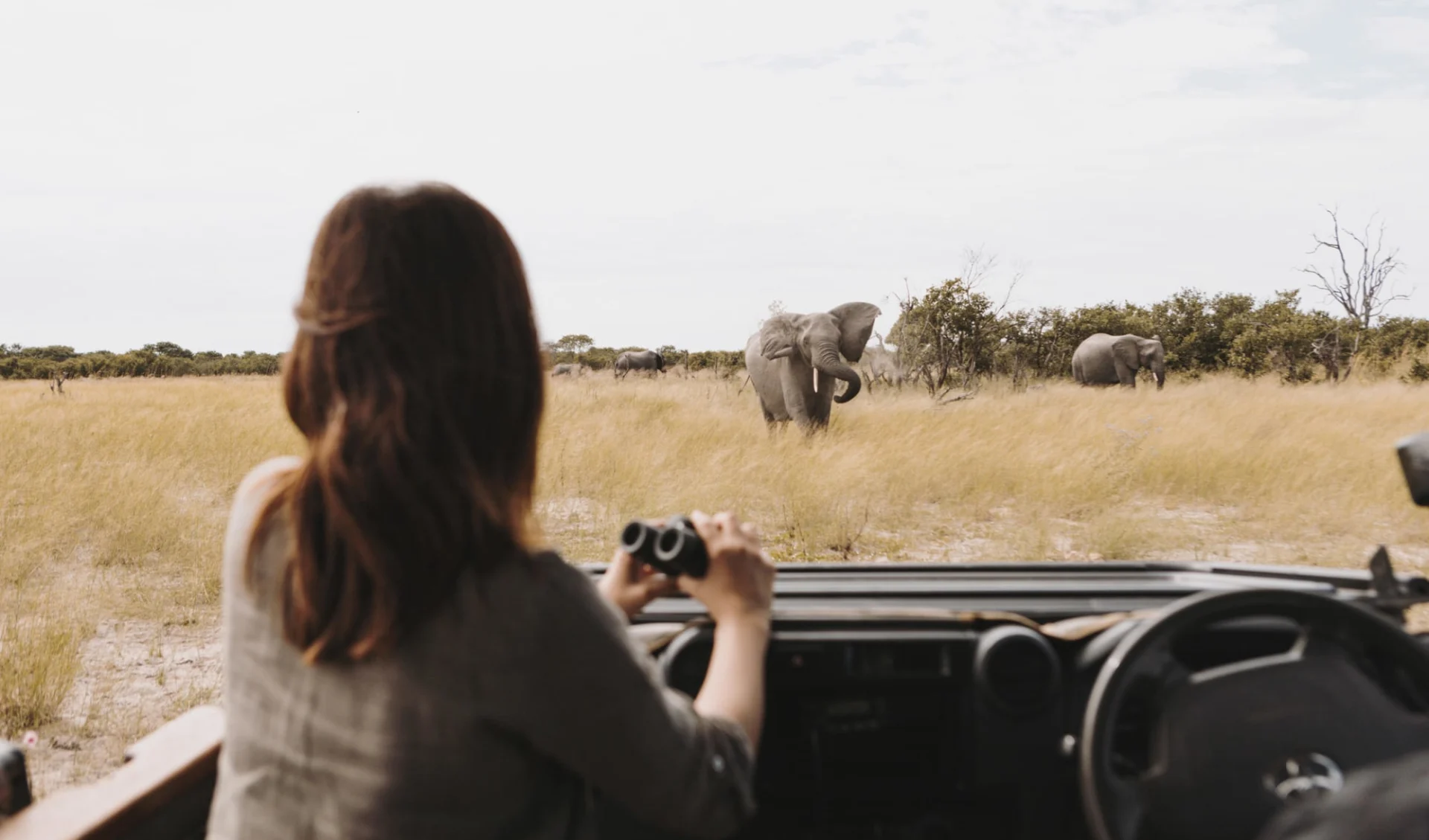 Wilderness Vumbura Plains in Okavango Delta: gamedrive_vumbura_tcunniffe_011