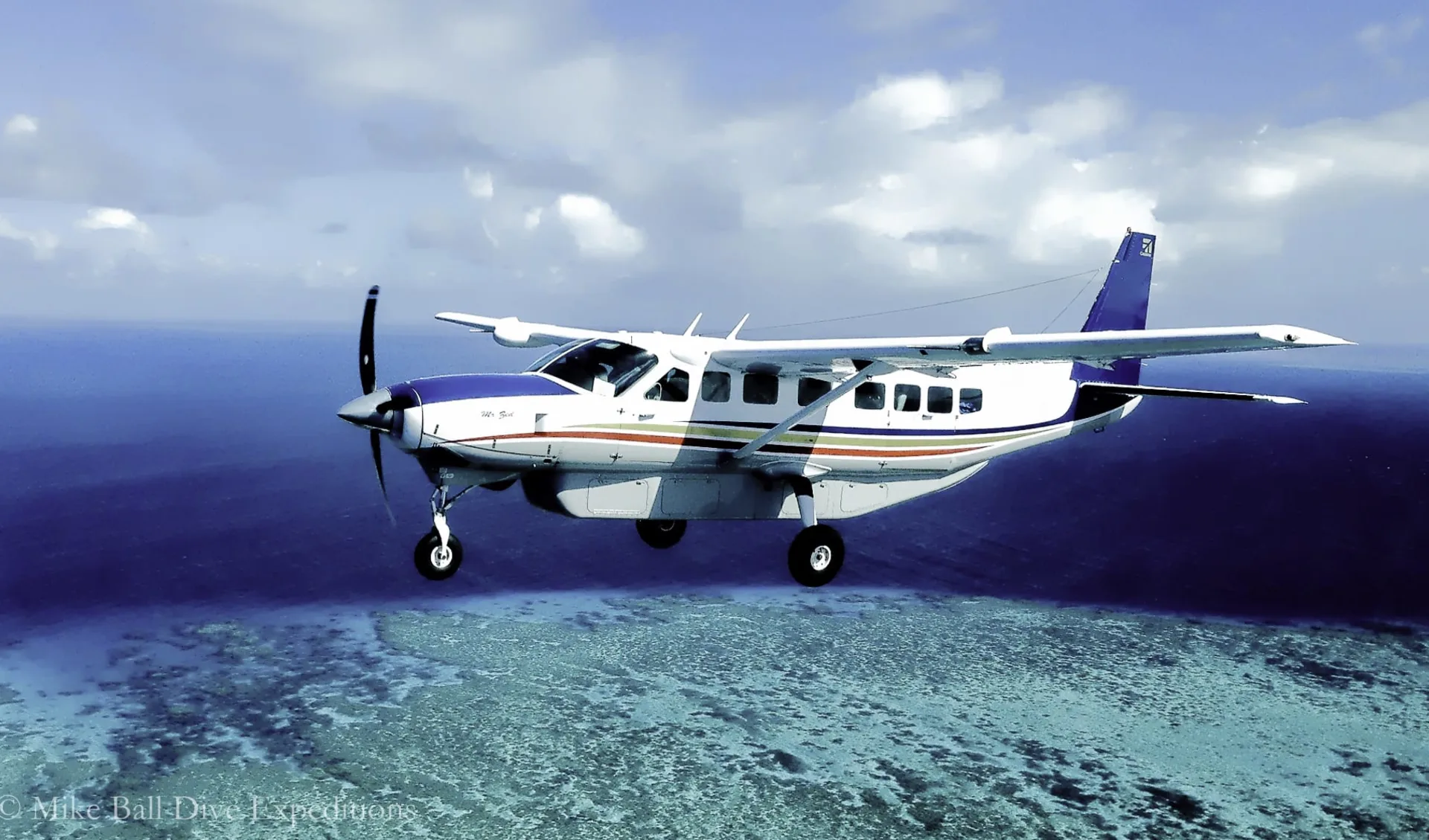 Mike Ball Dive Expeditions - Tauchen mit Zwergwalen «Minke Whales» ab Cairns: Great Barrier Reef - Mike Ball - Mike's Flight